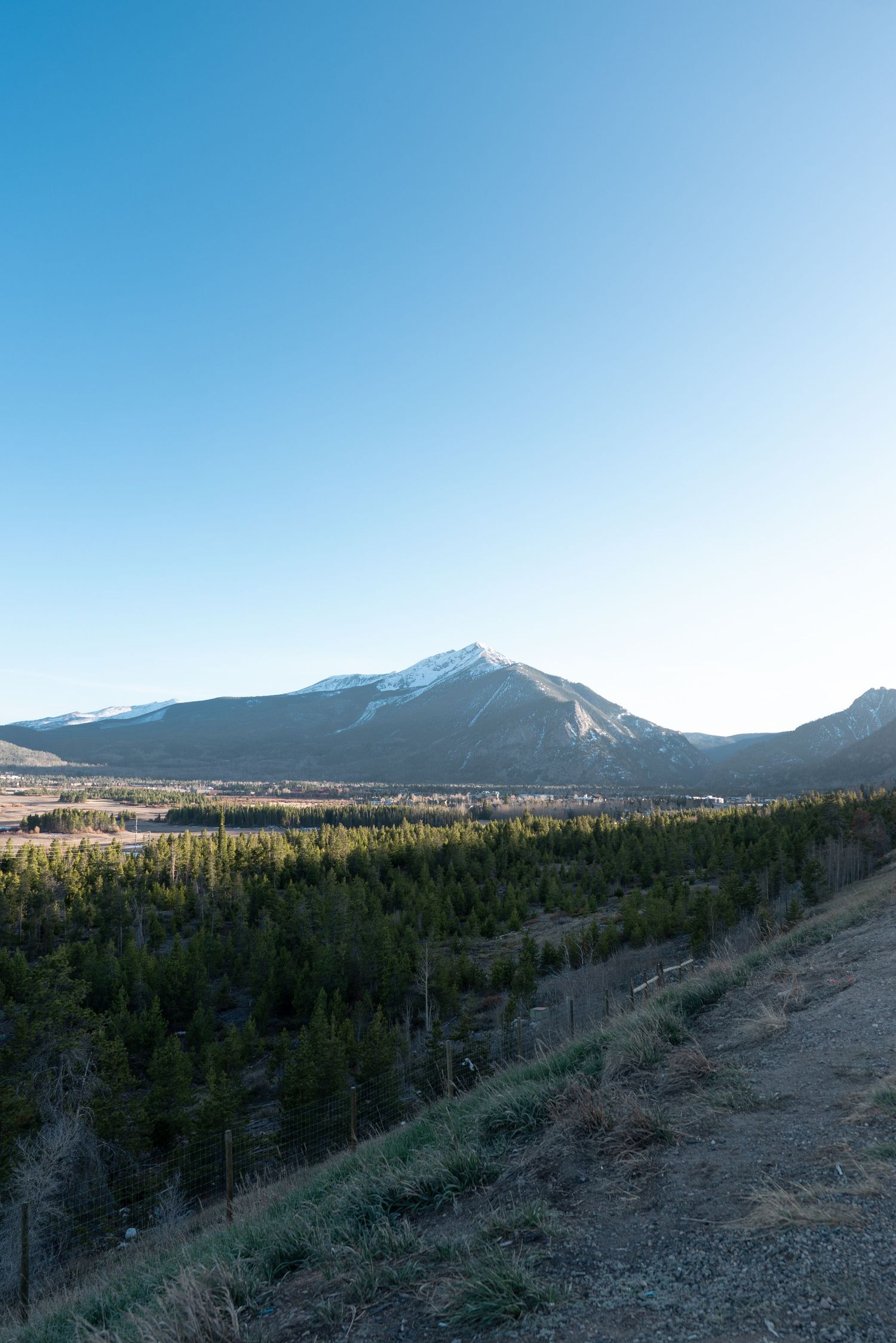 Snow-capped mountain rises above dense evergreen forest under clear blue sky in scenic Rocky Mountain landscape.