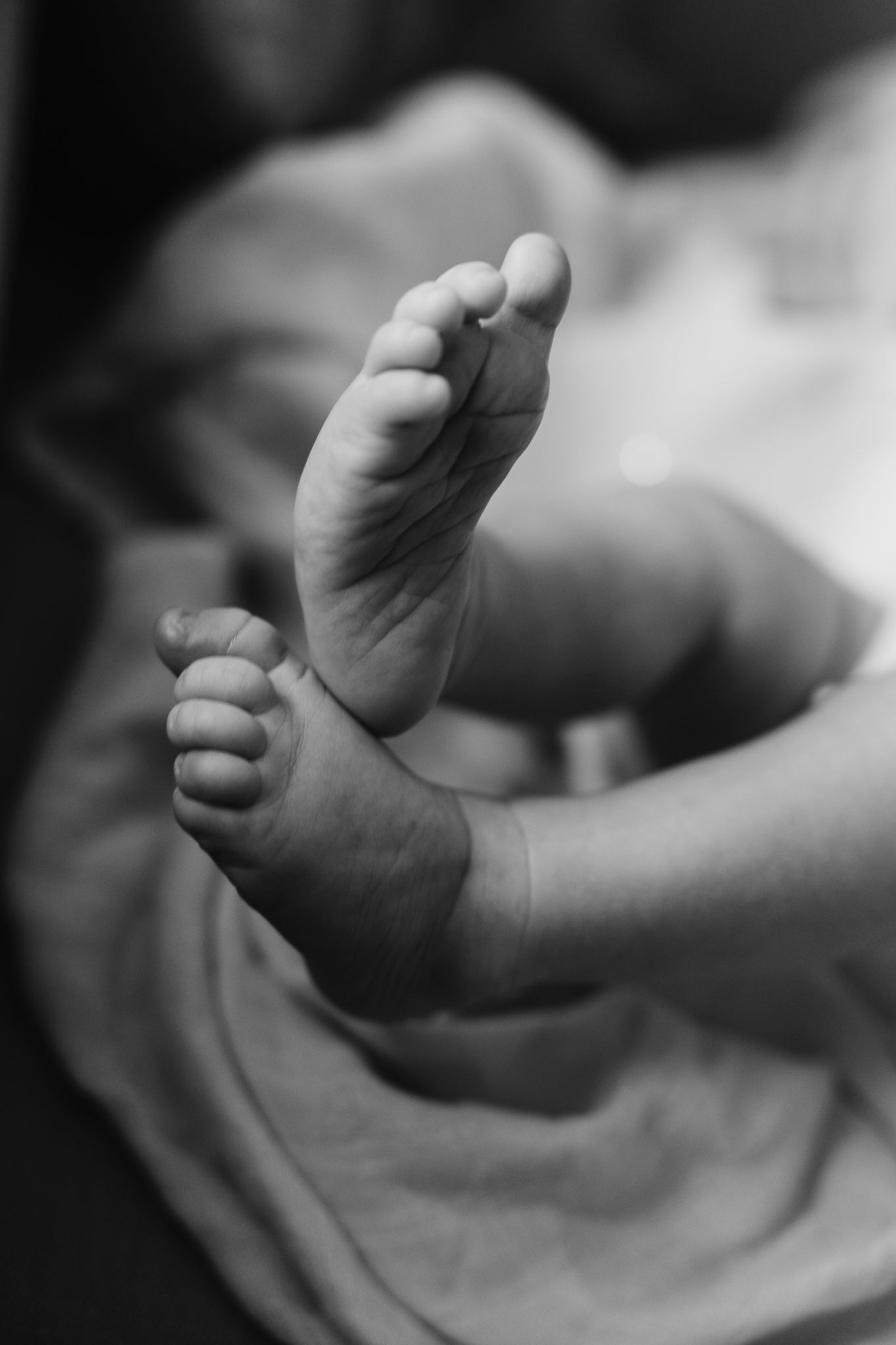 Black and white close-up photograph of tiny newborn baby feet against a soft blanket.