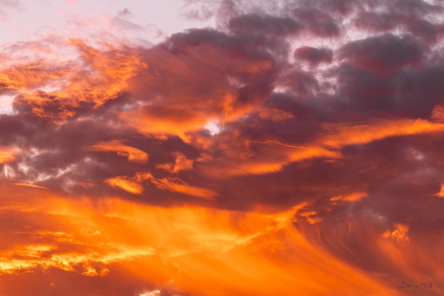 ORANGE SKY - LANDSCAPE