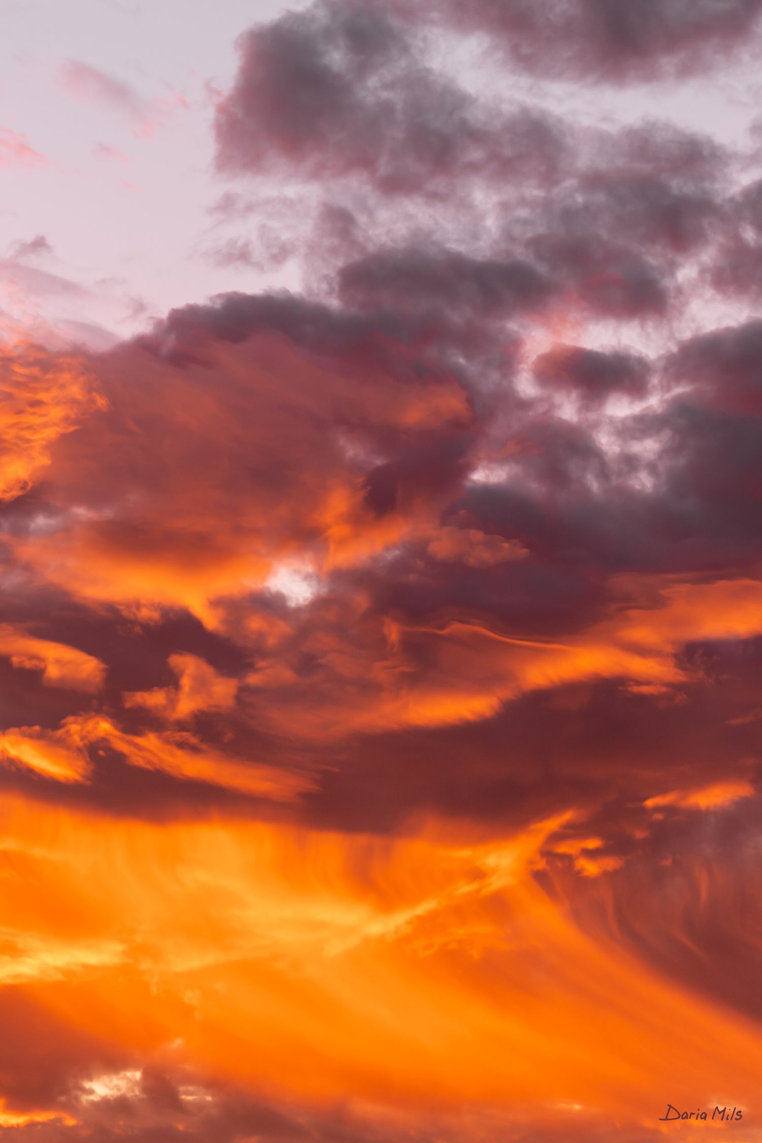 ORANGE SKY - PORTRAIT