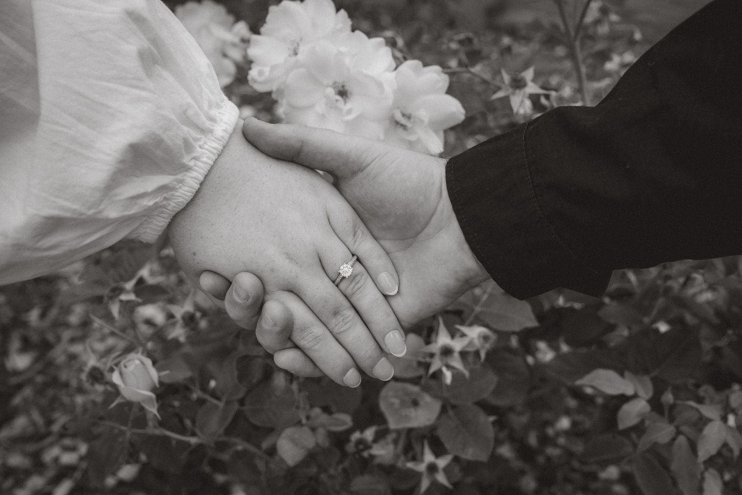 Close-up black and white photo of a couple holding hands, showing an engagement ring among white flowers.