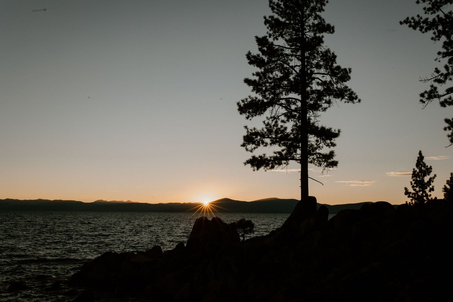 A scenic sunset silhouettes a lone pine tree on a rocky lakeside shoreline during golden hour.