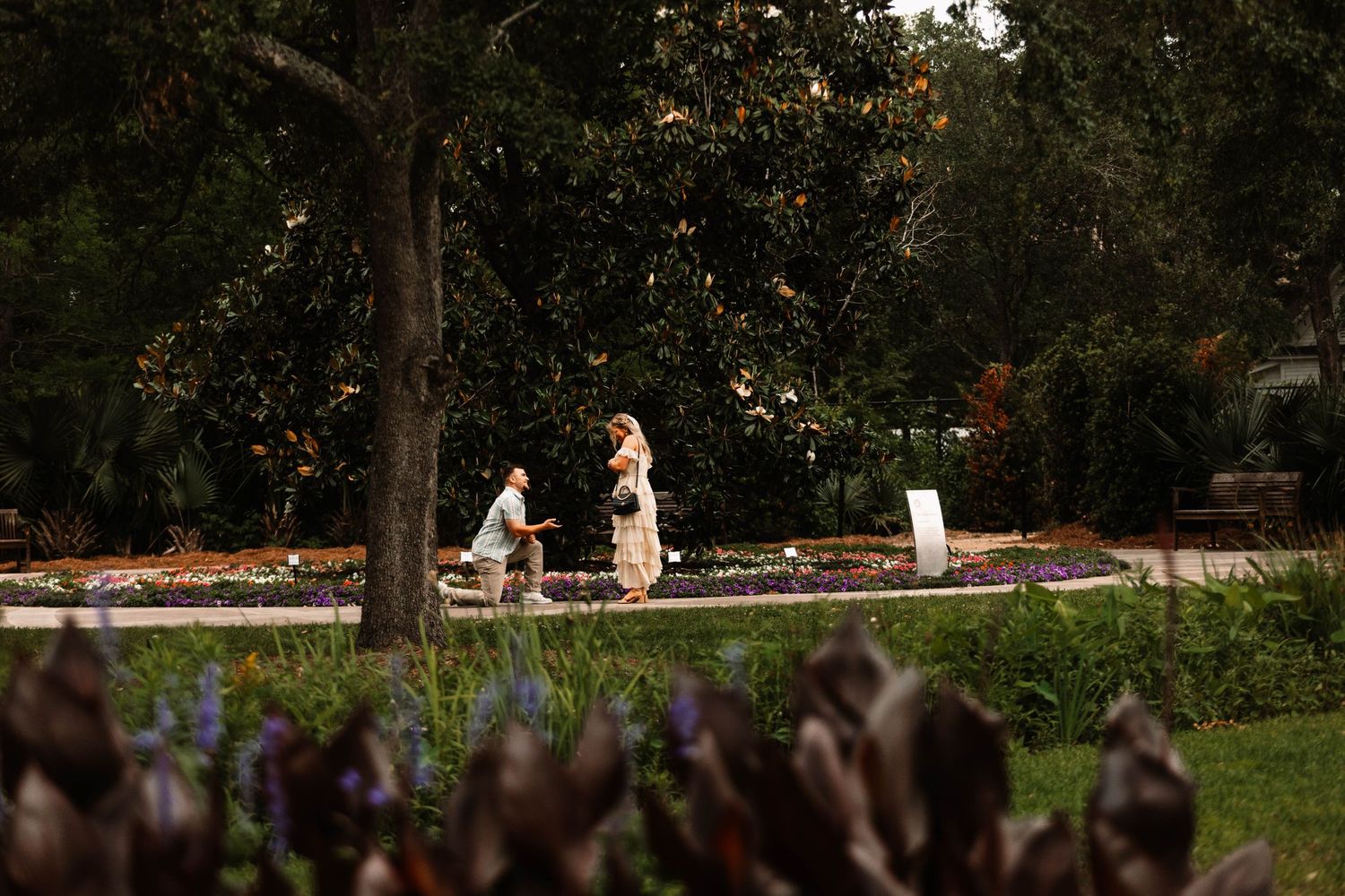 Two figures stroll along a peaceful garden path bordered by trees and purple flowers at dusk.