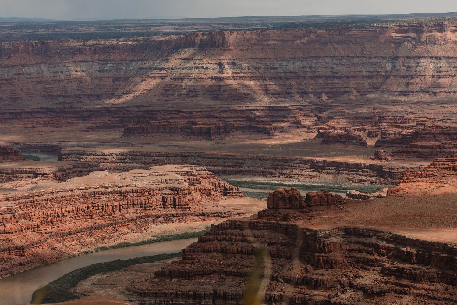 A winding river curves through red rock canyons in Dead Horse Point State Park, Utah.