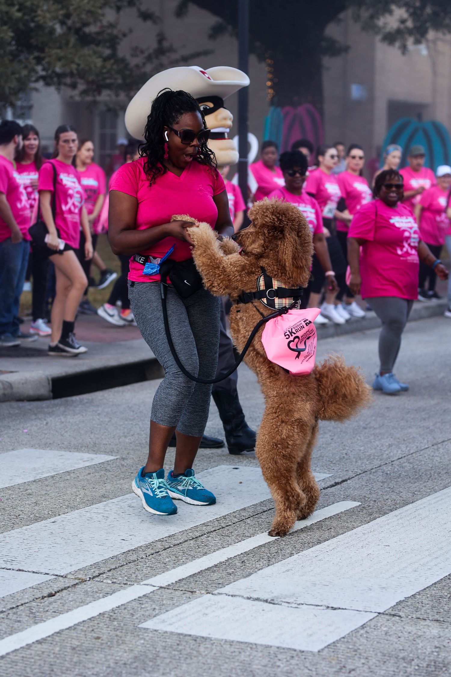 A brown poodle stands on hind legs while walking with a participant during a pink-themed charity walk event.