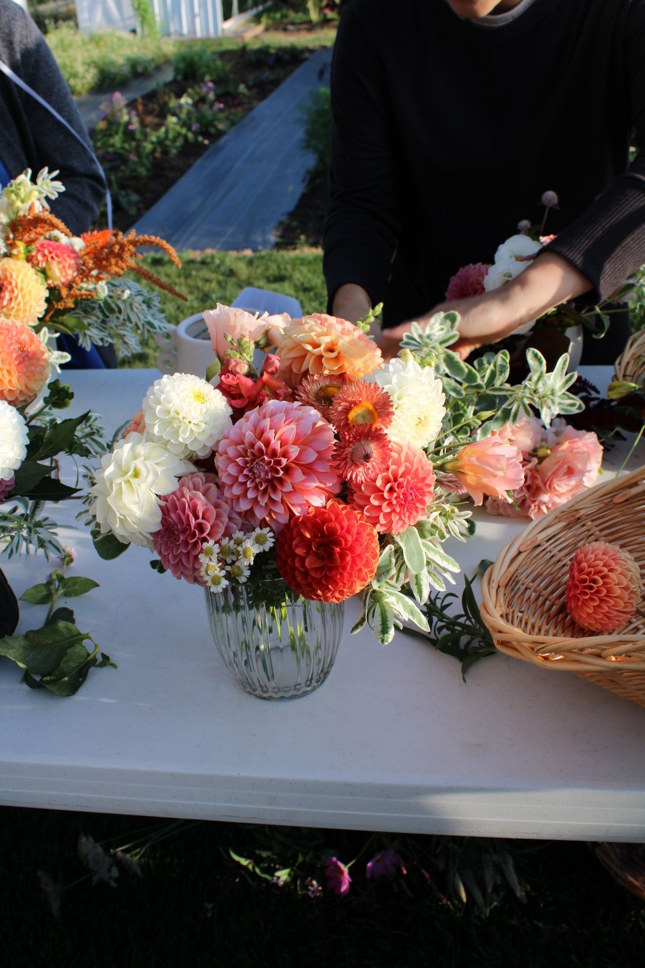 Colorful dahlia flower arrangement being assembled on white table outdoors.