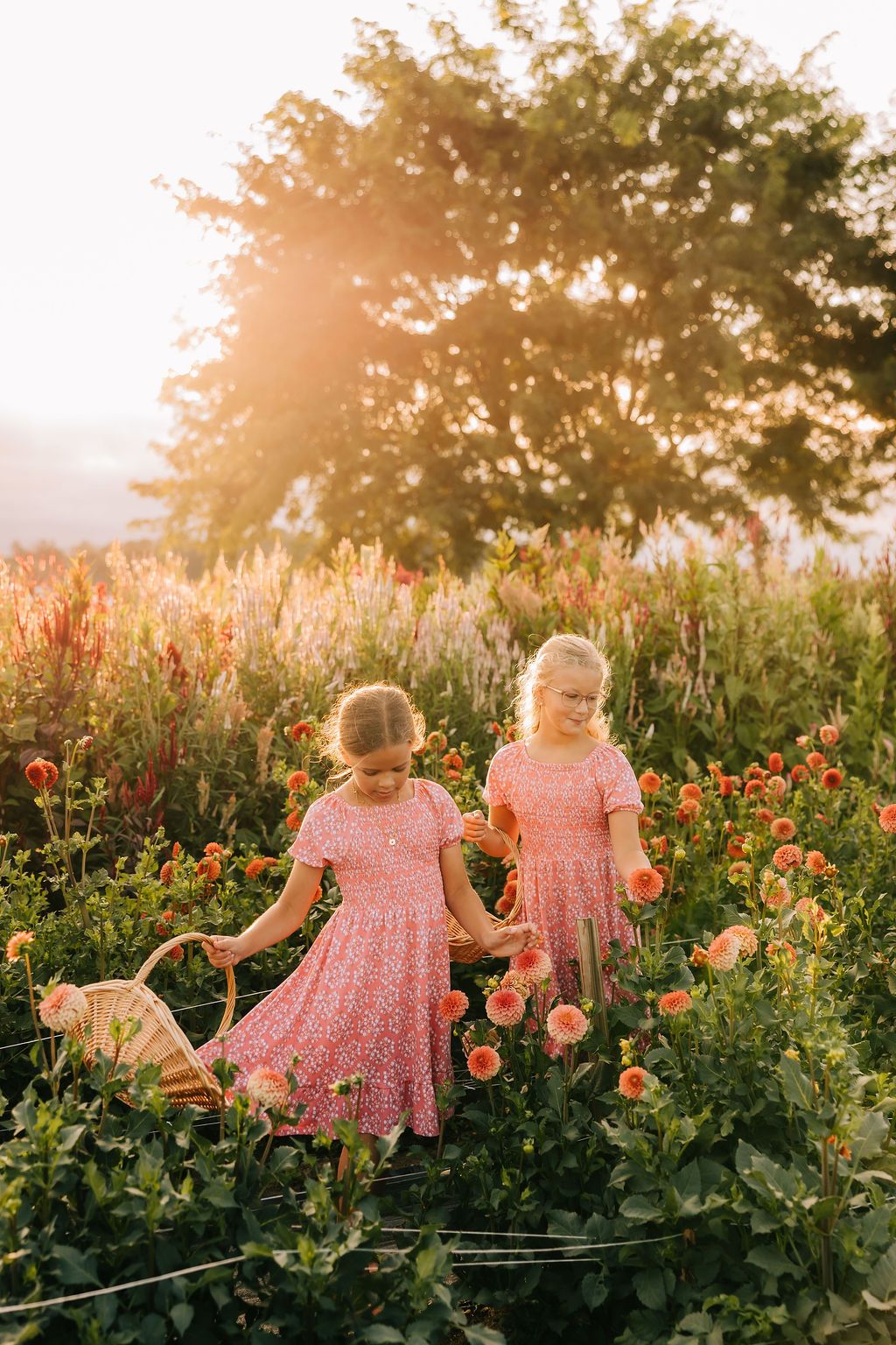 Two children in matching pink dresses walk through a vibrant garden of flowers during golden hour sunset.