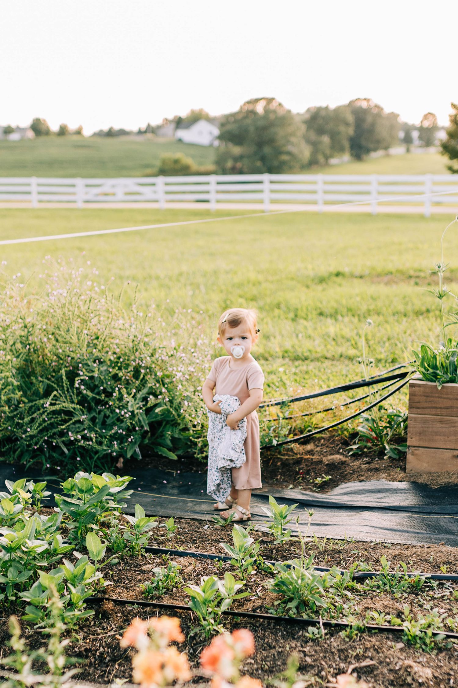 Small child standing in a garden path surrounded by blooming flowers and white fencing.