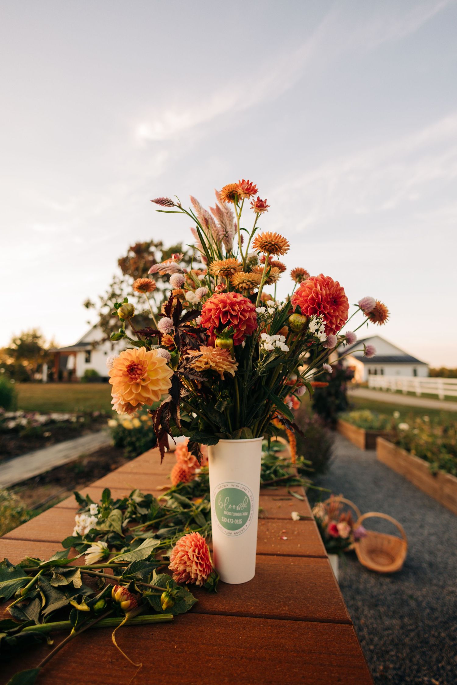 Fresh-cut flowers arranged in a white cup on a wooden table at sunset.