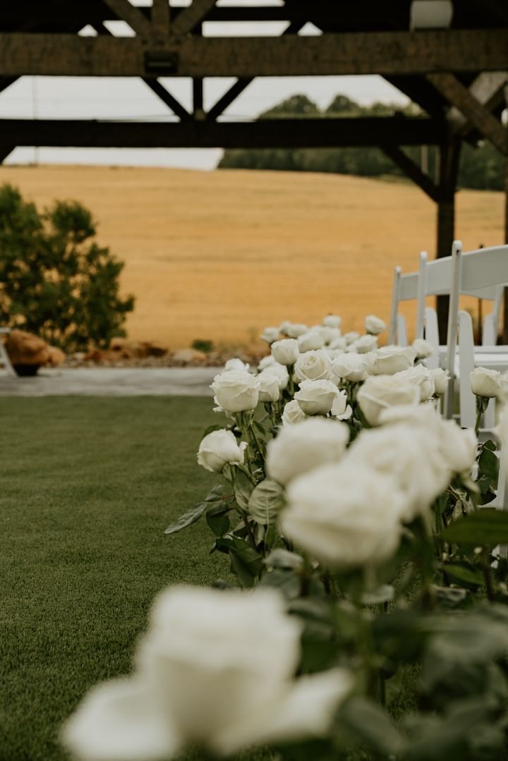 White roses line the aisle of an outdoor wedding venue with a wooden beam structure overhead.