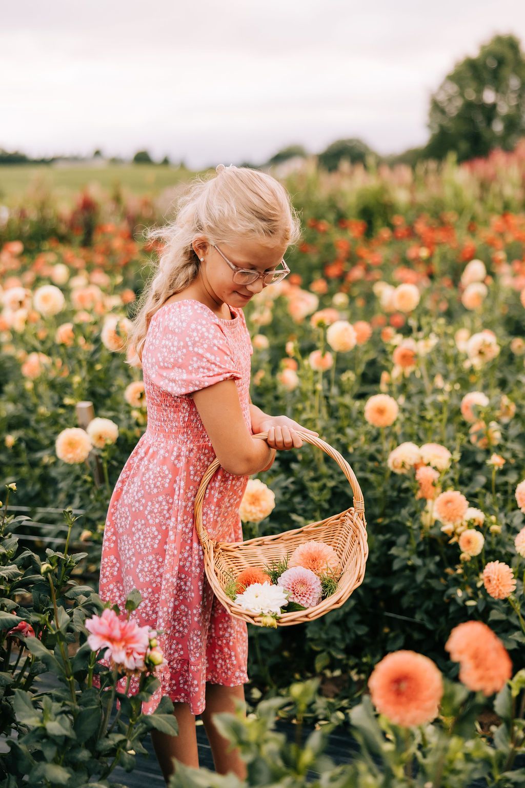 A young girl in a pink floral dress carries a wicker basket while walking through a garden of peachy-orange roses.
