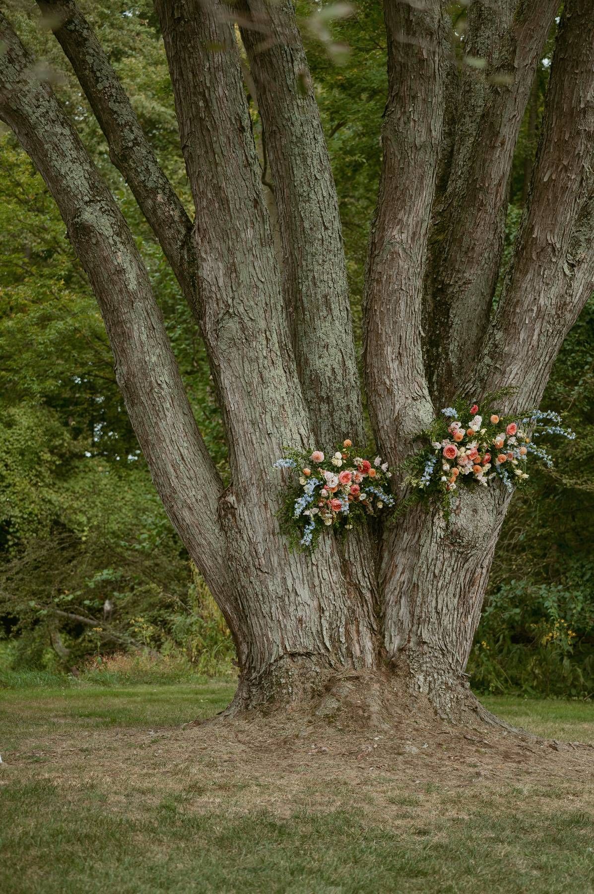 A series of photos showing a large tree trunk with floral arrangements gradually appearing in the final frames.