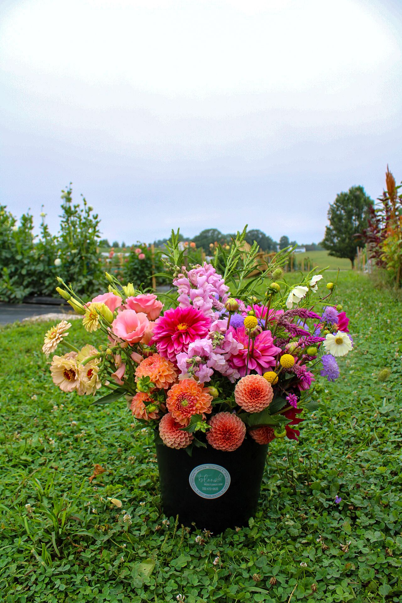 Vibrant dahlias and mixed flowers in colorful arrangements displayed across multiple tubs in a lush garden field setting.