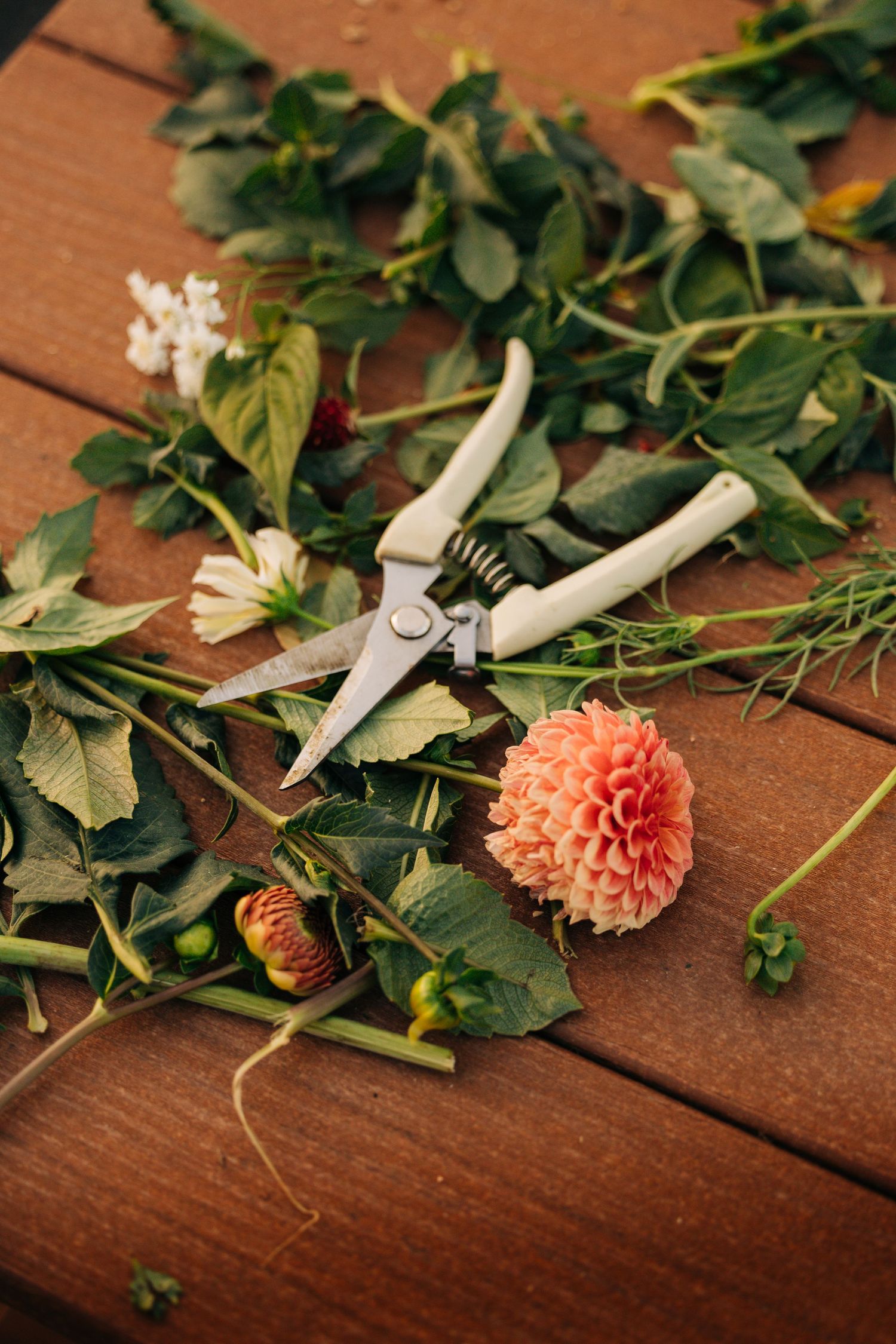 Garden pruning shears with coral dahlia flower and scattered greenery on wooden surface.