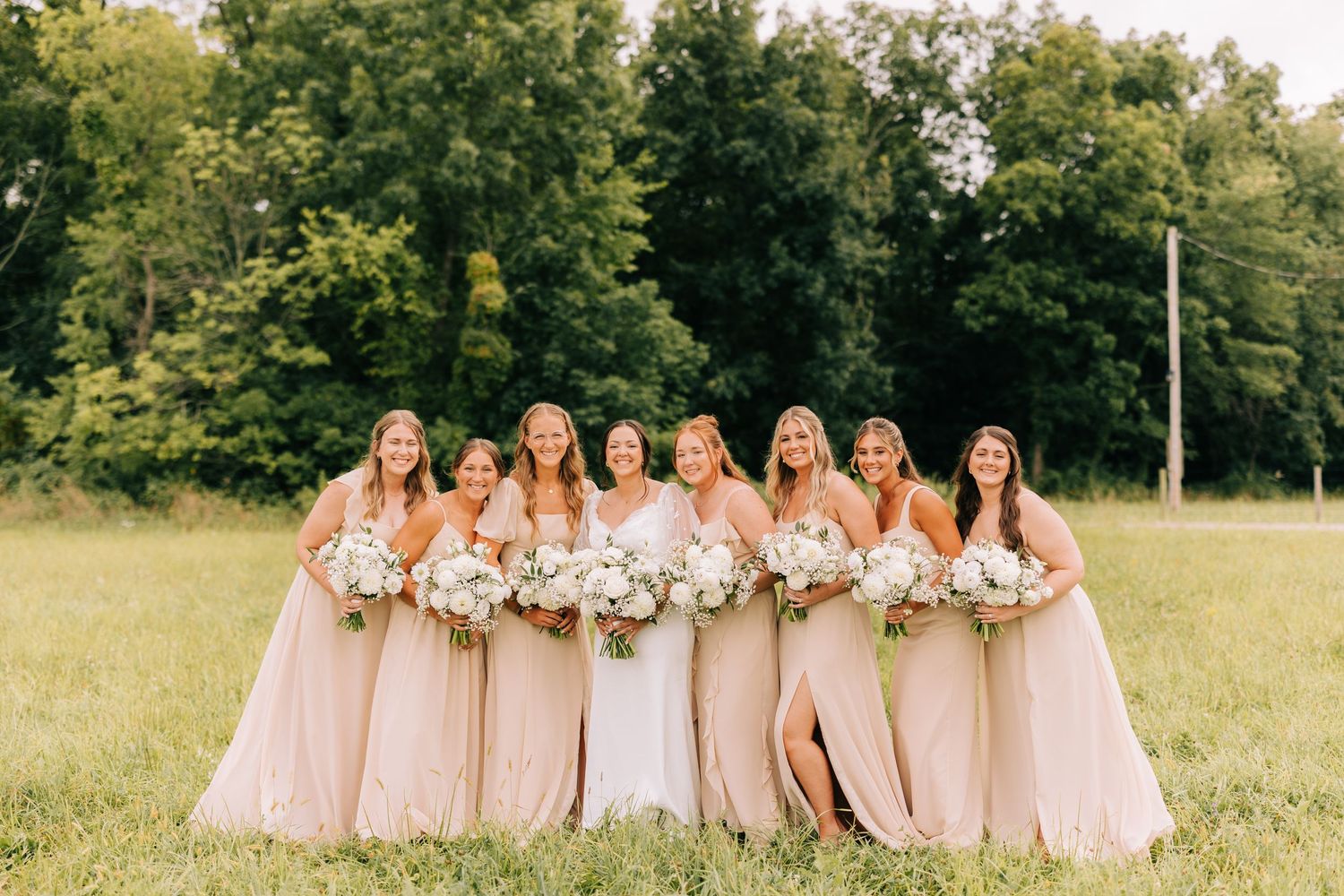 Wedding party in blush pink dresses posing in a sunny field.