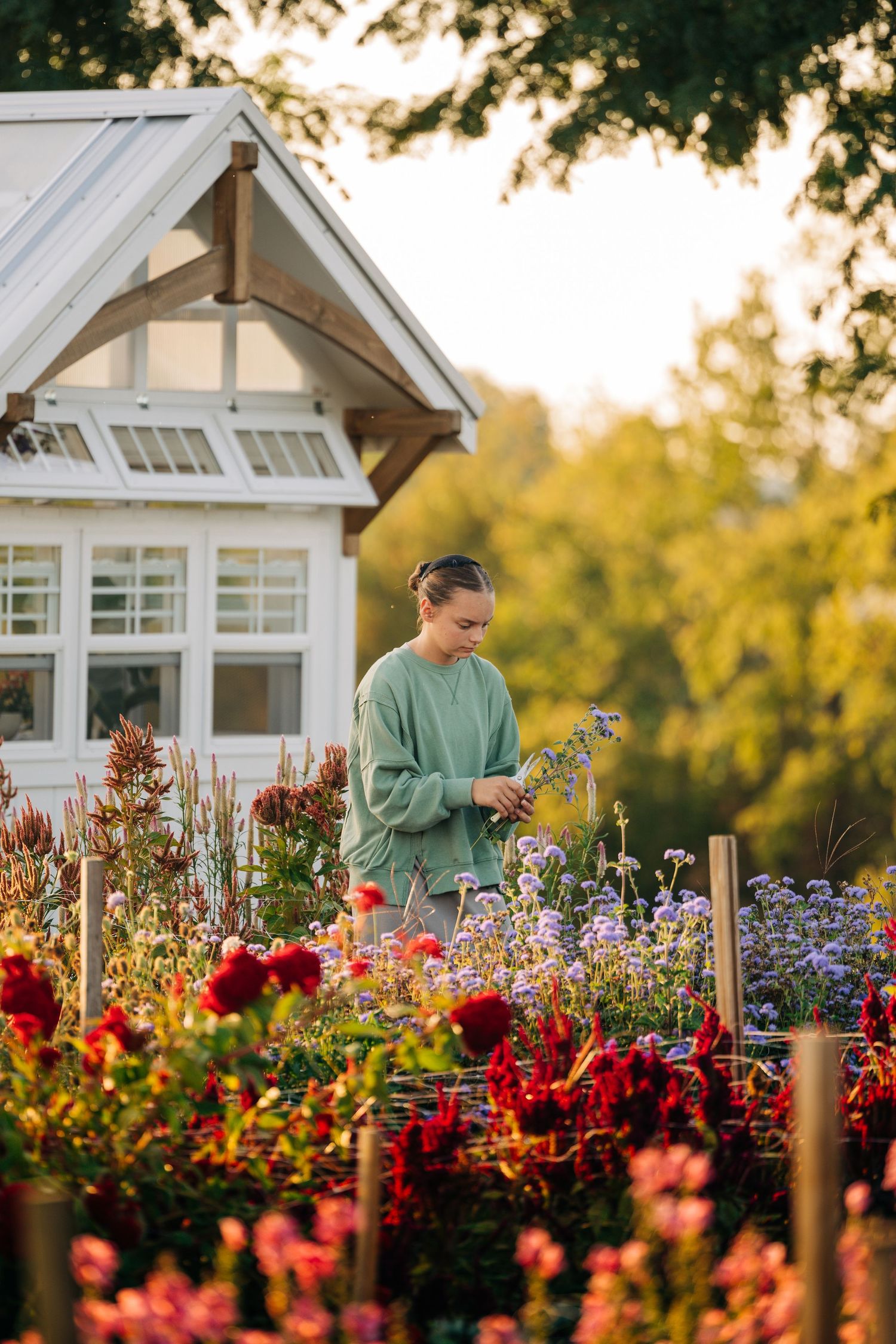 Garden scene with white cottage and colorful flower beds during golden hour.
