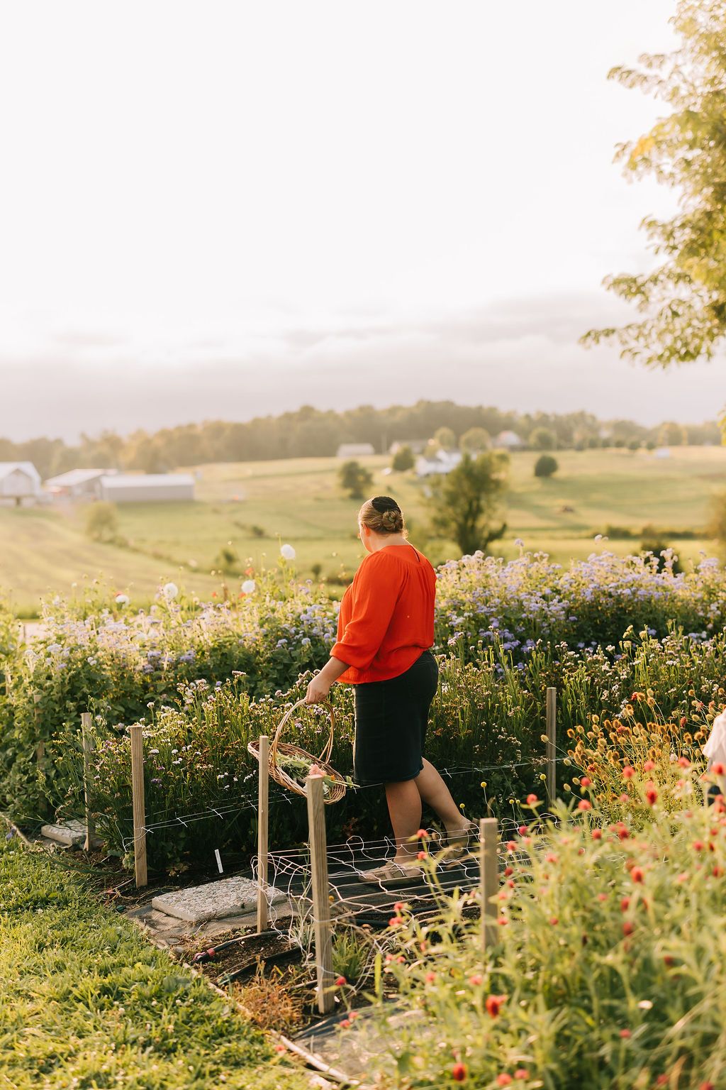 A person in a red shirt stands among vibrant wildflowers in a rolling countryside during golden hour.