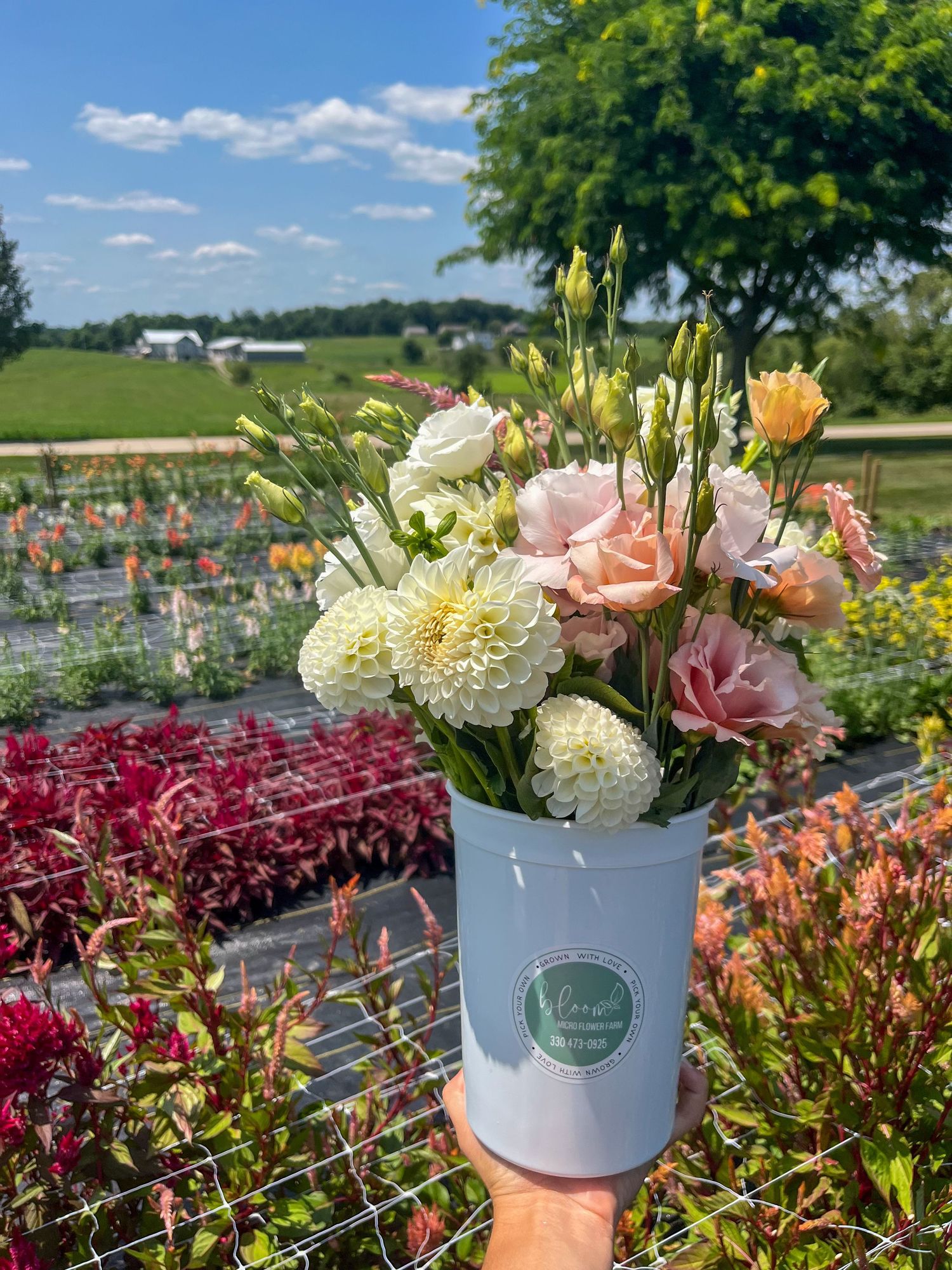 Fresh floral arrangement with pink roses and white carnations in a gray vase against a sunny garden landscape background.
