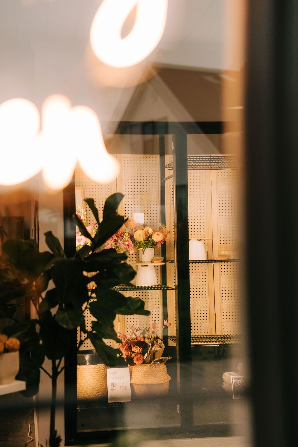 Moody interior scene with bokeh lights and silhouetted plants against a white wall in warm evening lighting.