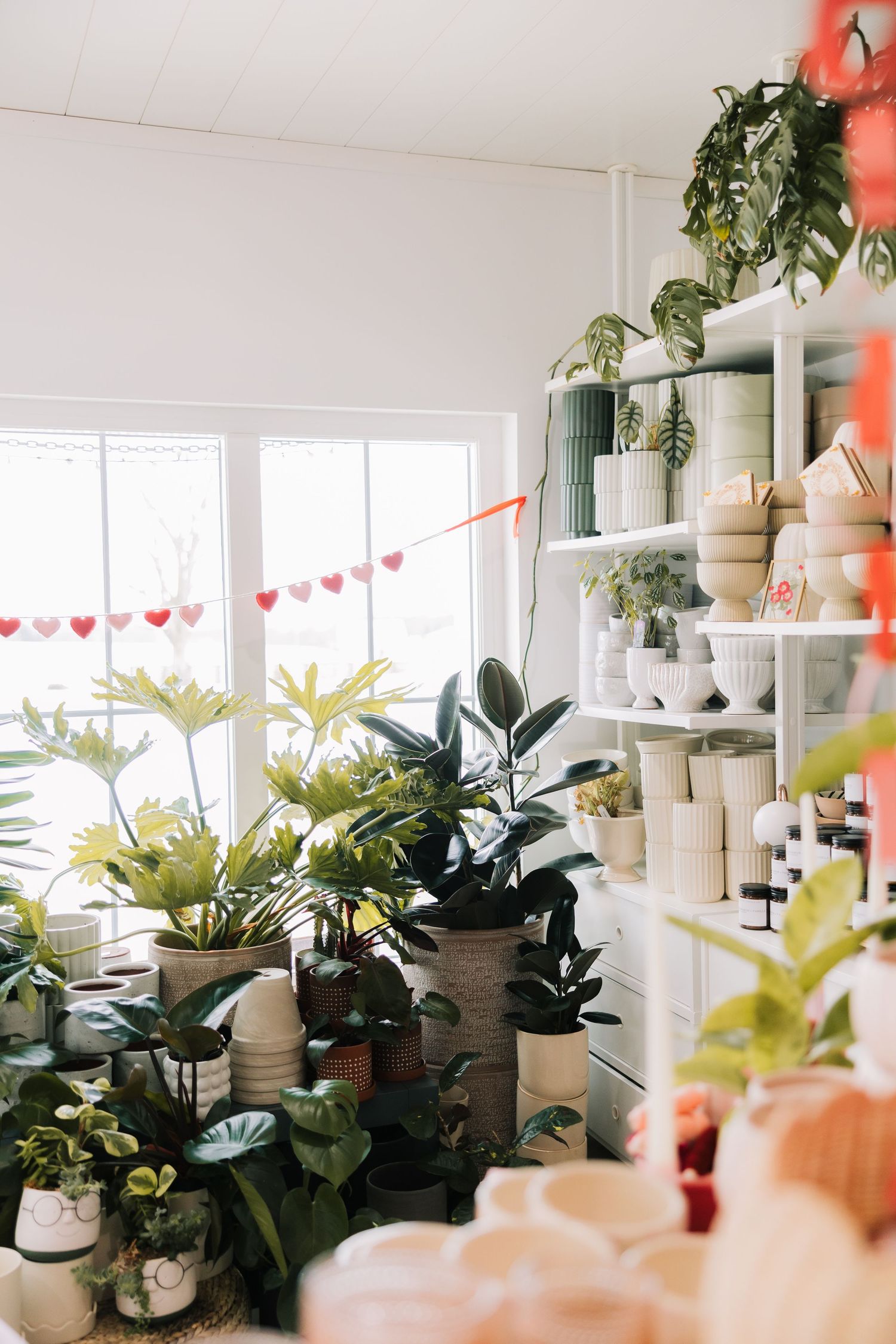 Interior room decorated with potted plants on shelves and a festive string of heart-shaped decorations hanging above.