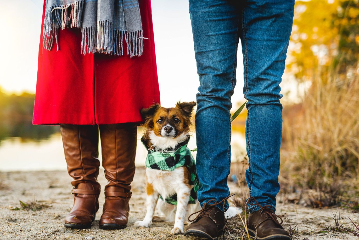 Dog photographer.  Dog family photos.  Fort Campbell, Kentucky.  Family photoshoot with pets.  Clarksville, Tennessee.
