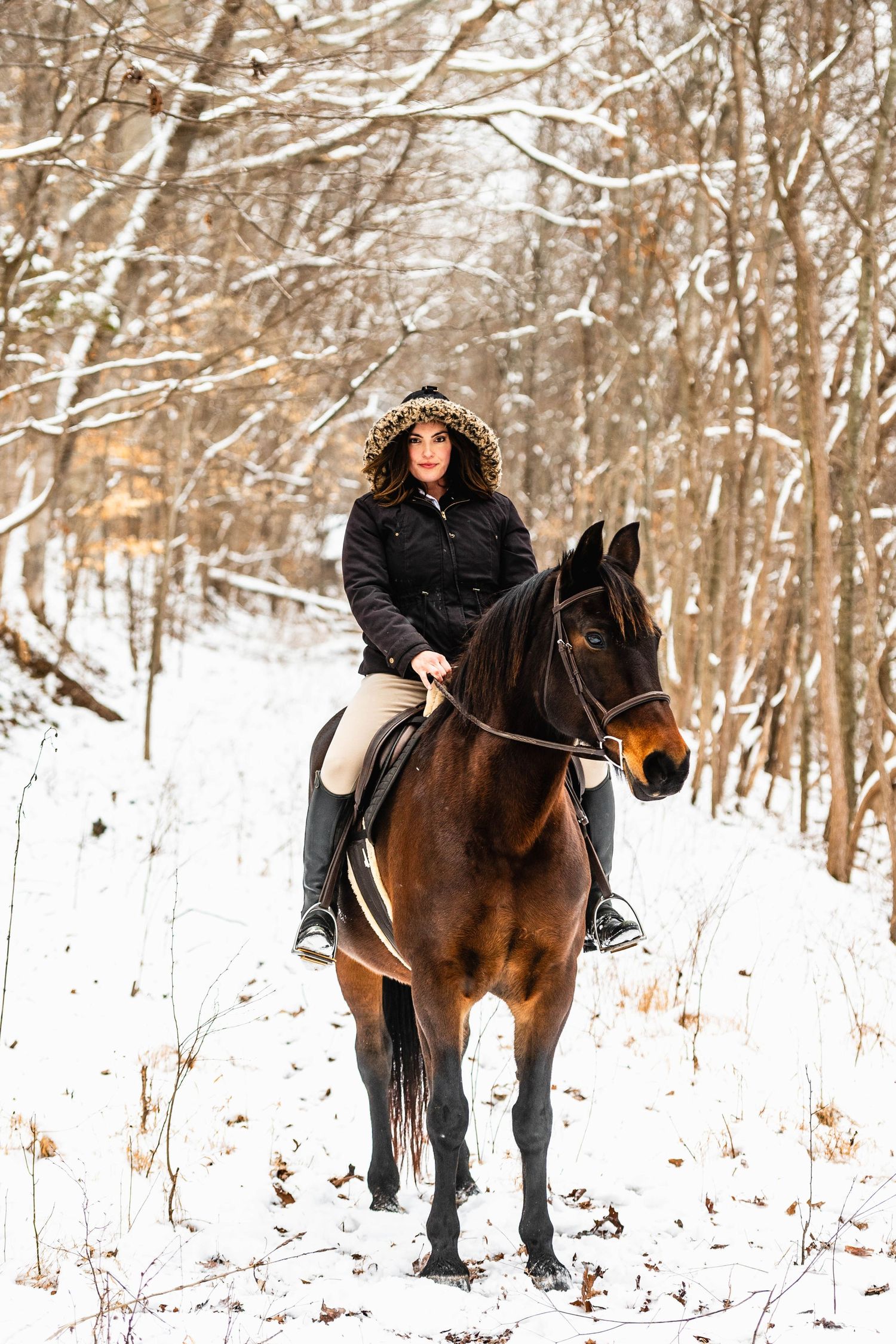 photograph of gorgeous woman on a horse in the snow near Clarksville, Tennessee.  Beautiful equestrian photo.  Snow photo.  Fort Campbell
