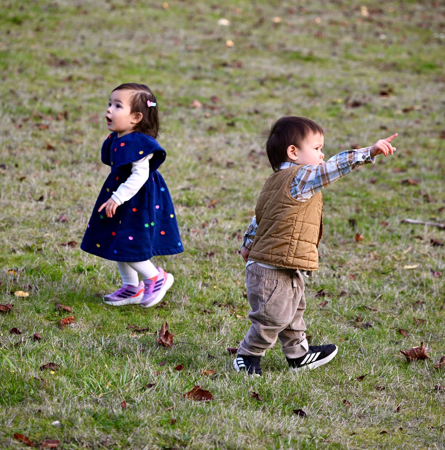 Family portrait session at Battle Point Park on Bainbridge Island, WA. Brother and Sister.