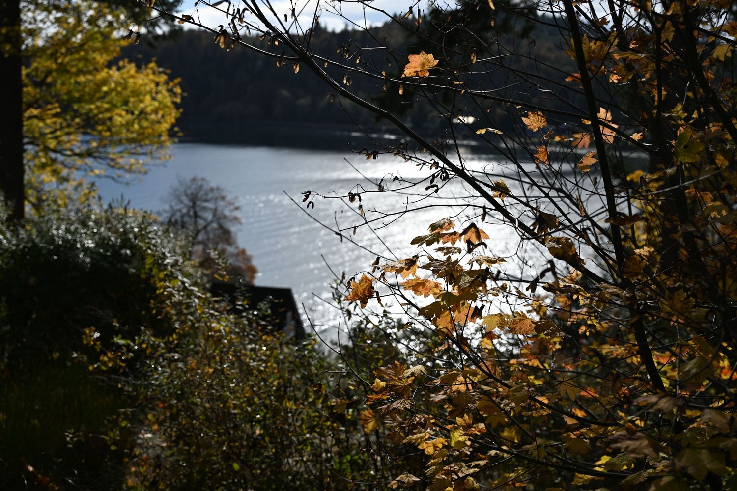 Landscape photo at Halls Hill Lookout and Labyrinth on Bainbridge Island. WA.