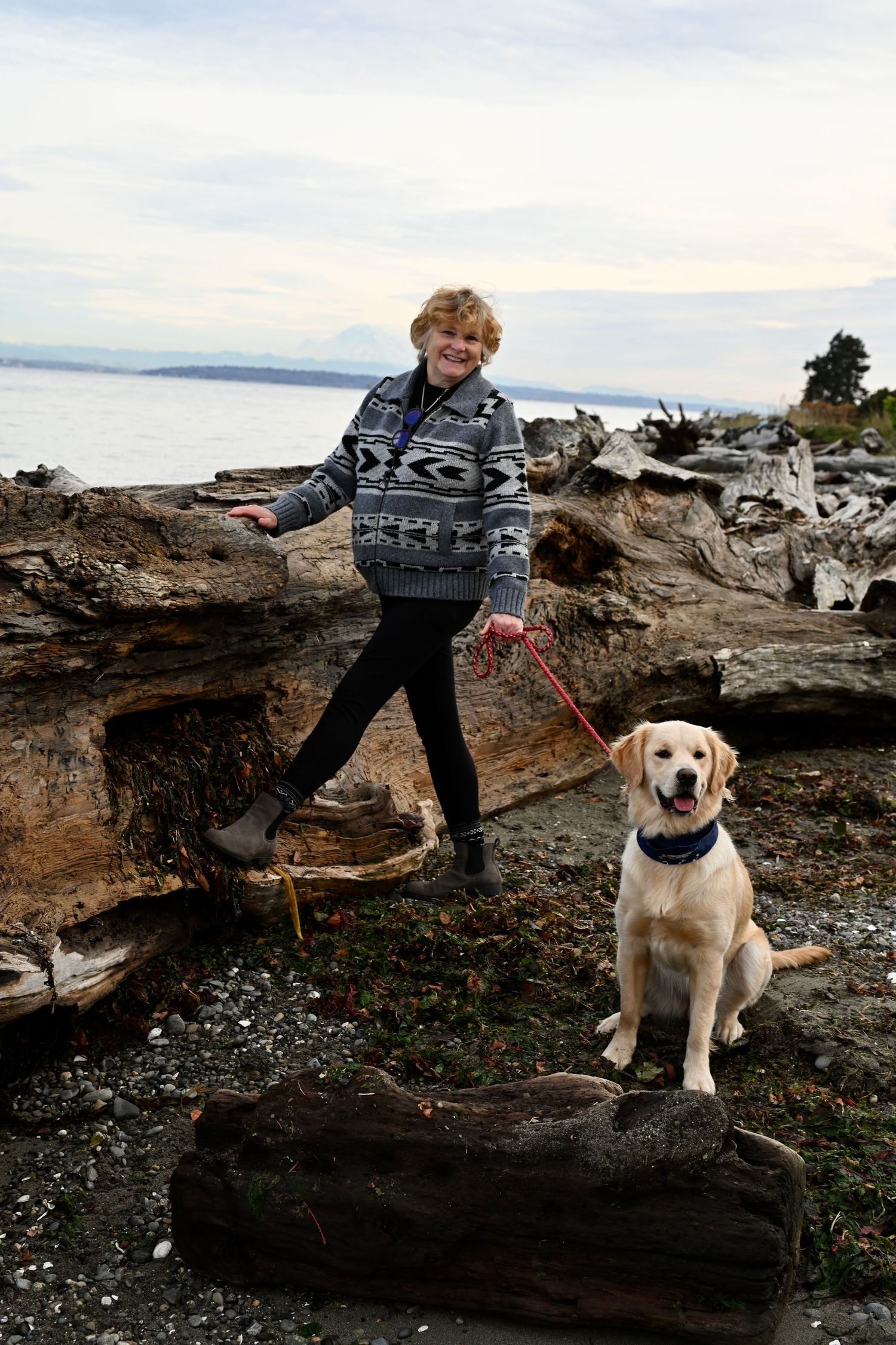 Family portrait session at Fay Bainbridge park on Bainbridge Island. WA. Ocean view with lady and golden retriever.