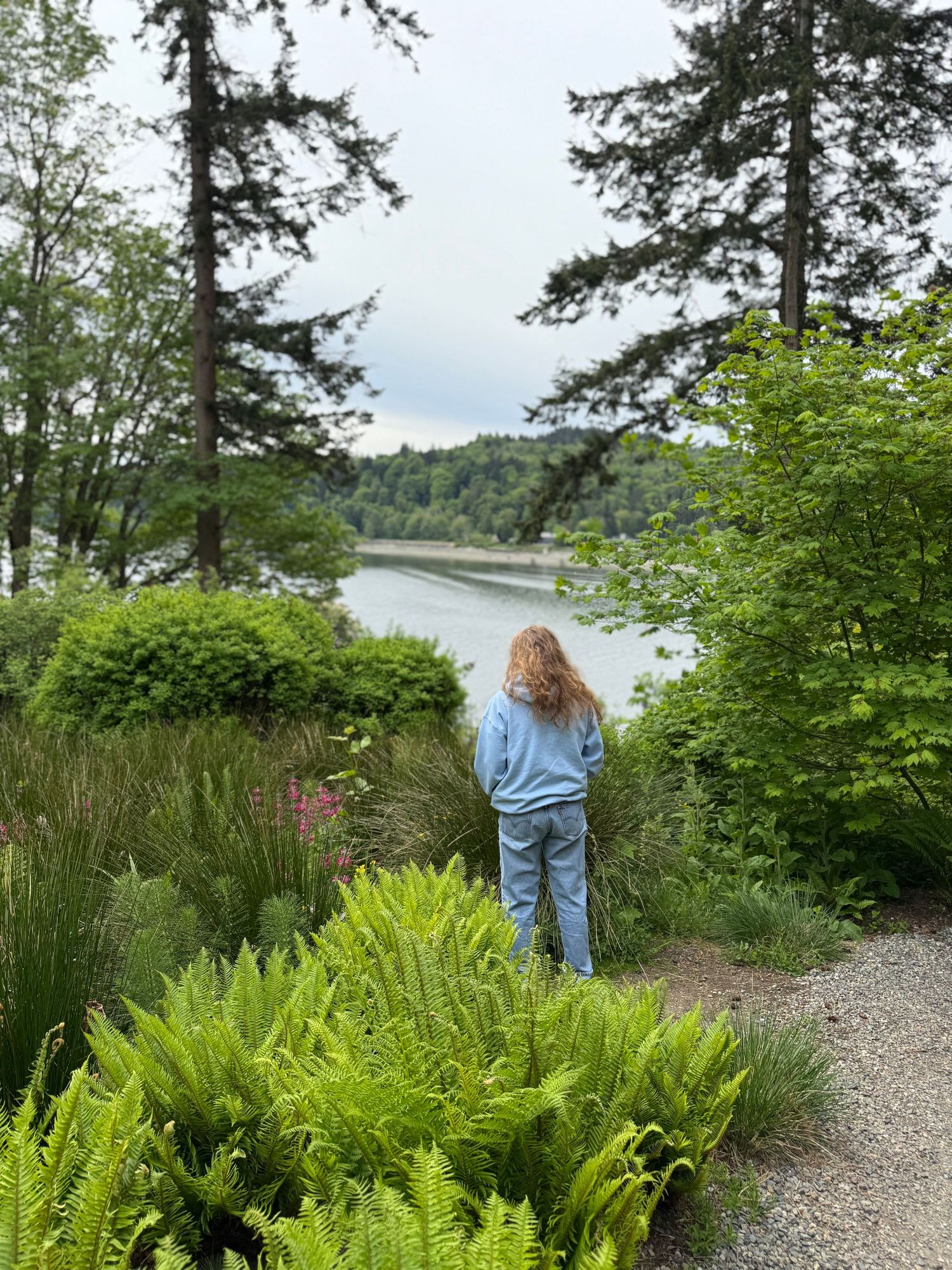 Family portrait session at Halls Hill Lookout and Labyrinth on Bainbridge Island. WA. Woman looking between trees to Blakely Harbor.