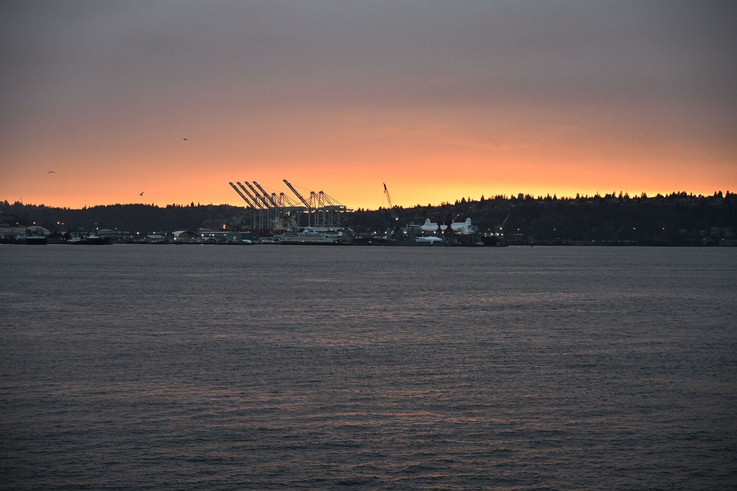 Landscape photo of Seattle skyline at sunrise.