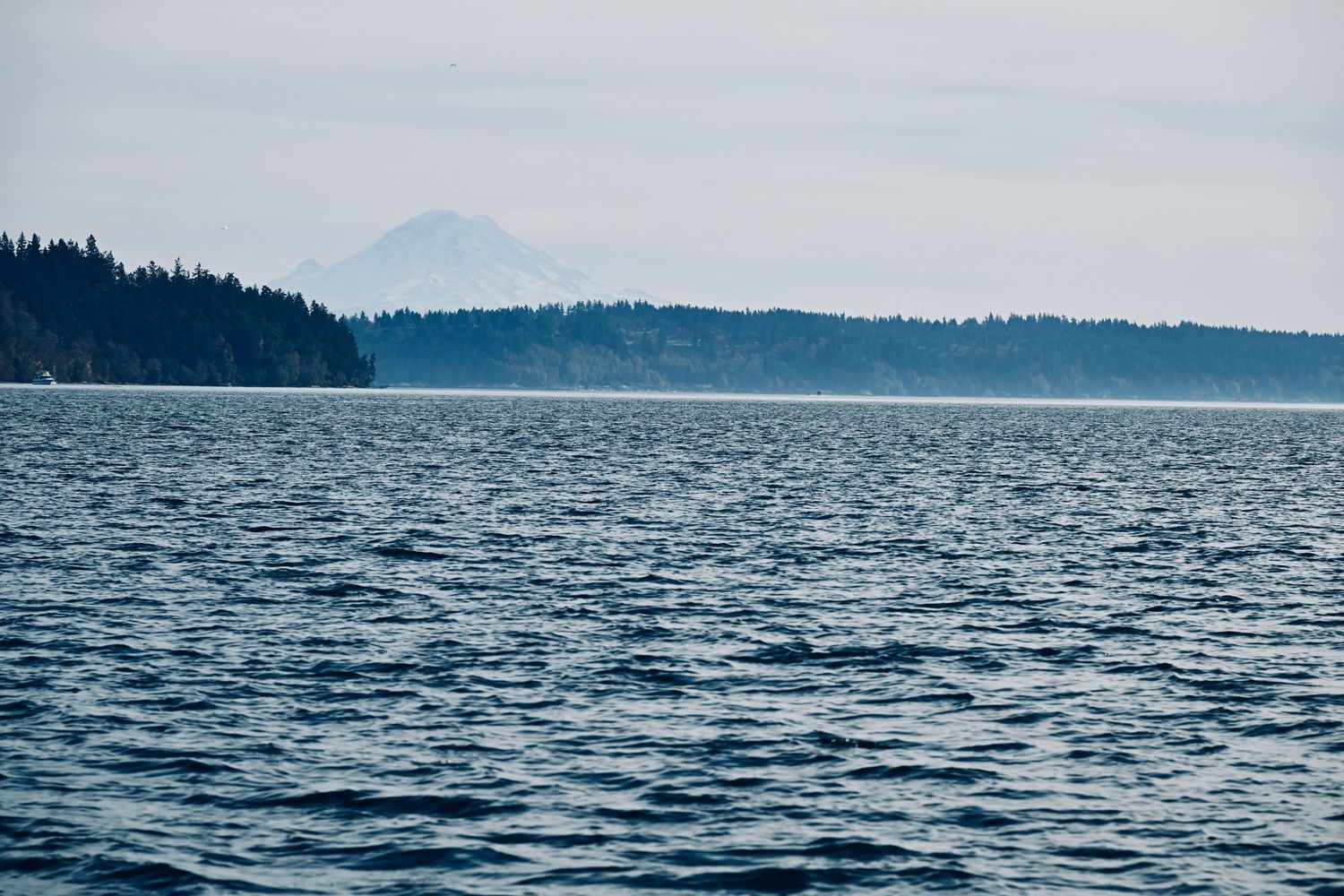 Landscape photo of Puget Sound and Mount Rainer in background.