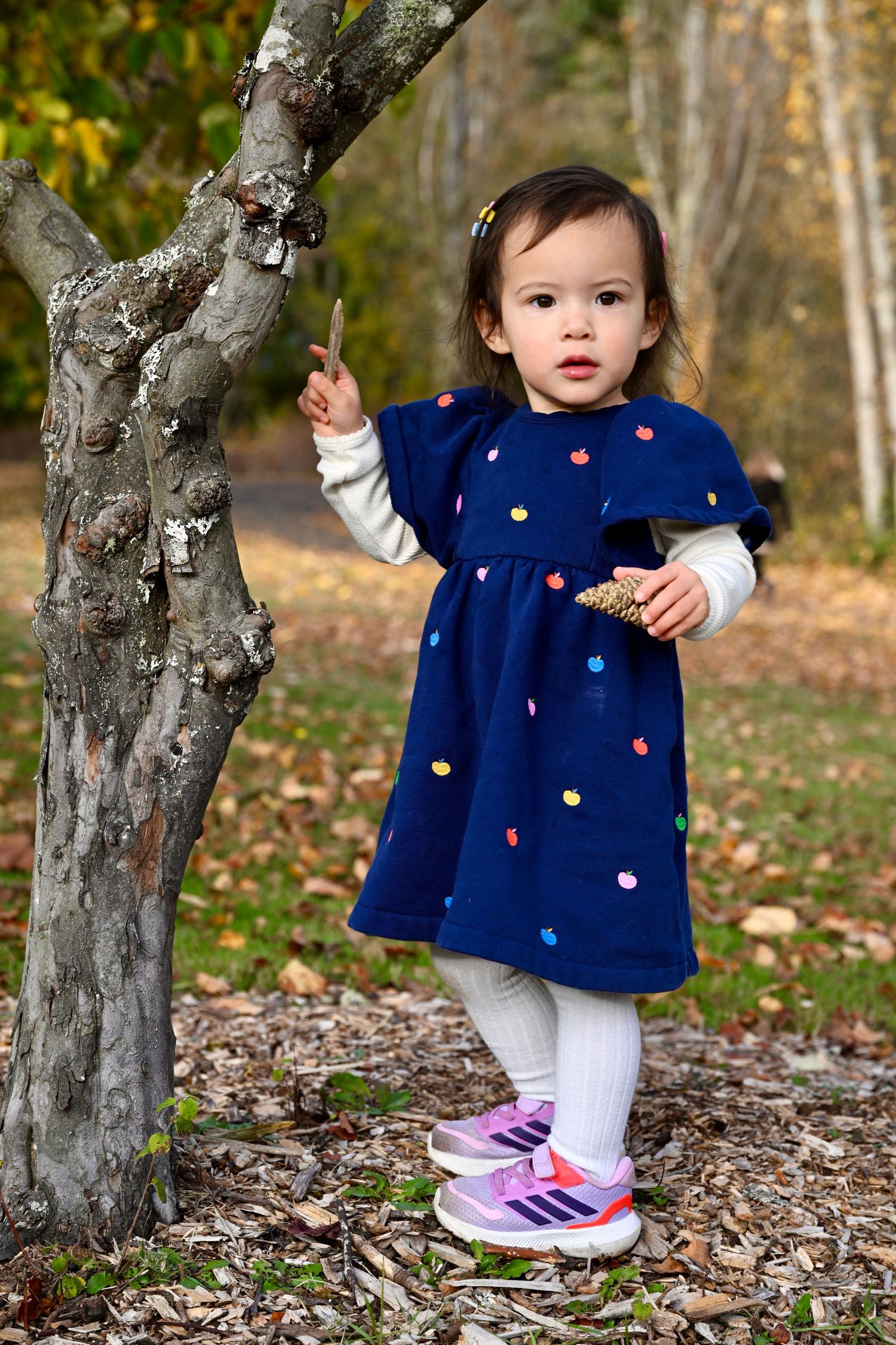 Family portrait session at Battle Point Park on Bainbridge Island, WA. Young girl with tree.