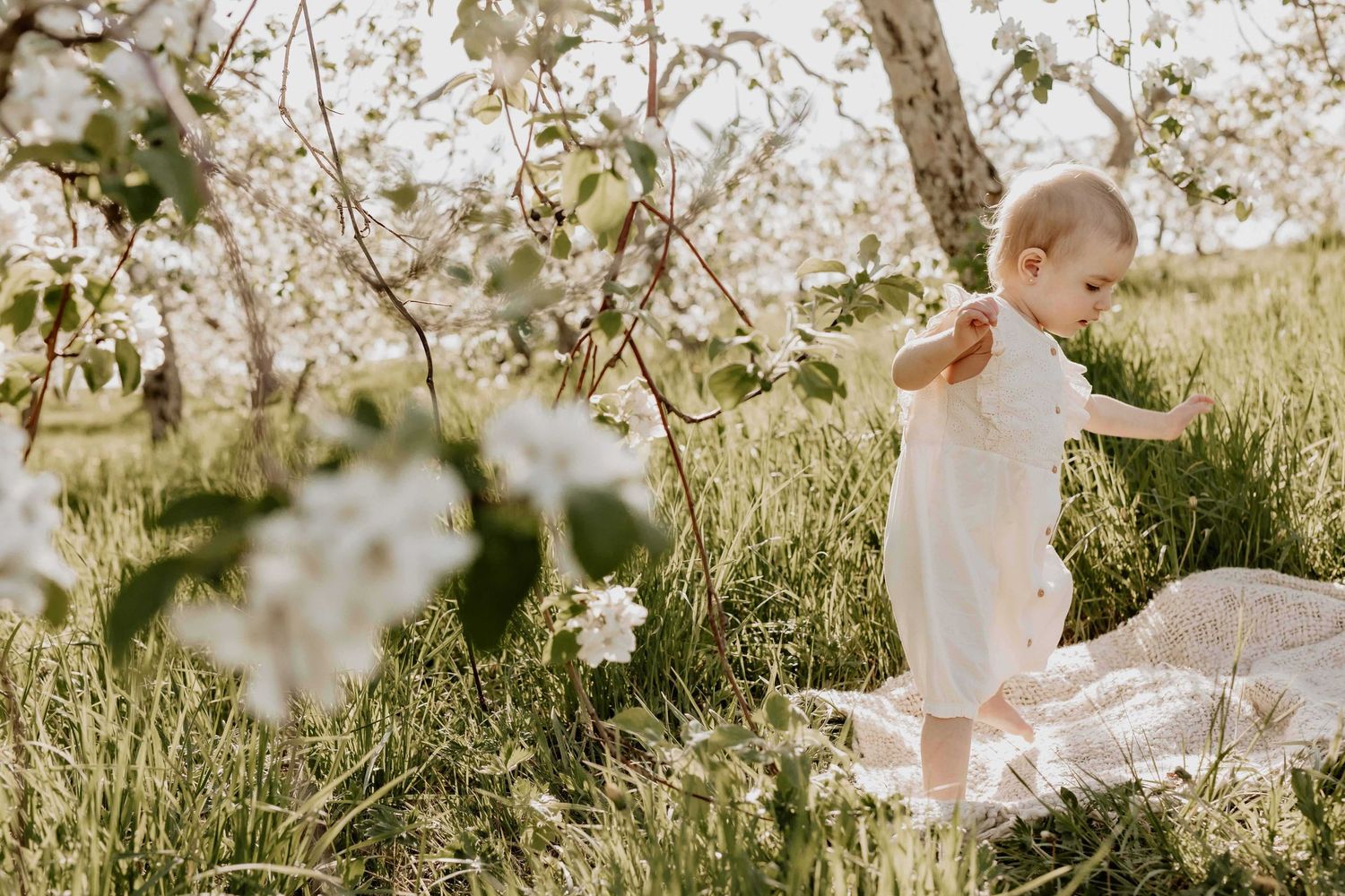 Romantic springtime photo session in a blooming orchard with soft natural lighting.