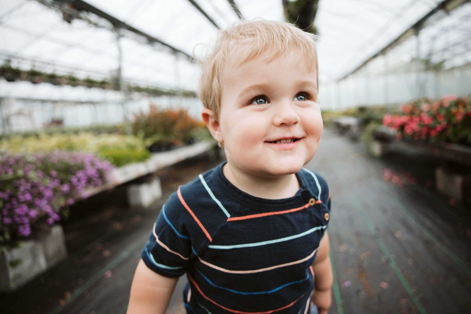 Young child smiling in a greenhouse surrounded by colorful flowers.