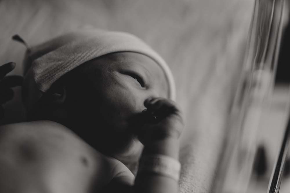 Artistic black and white portrait capturing a couple's tender moment together.