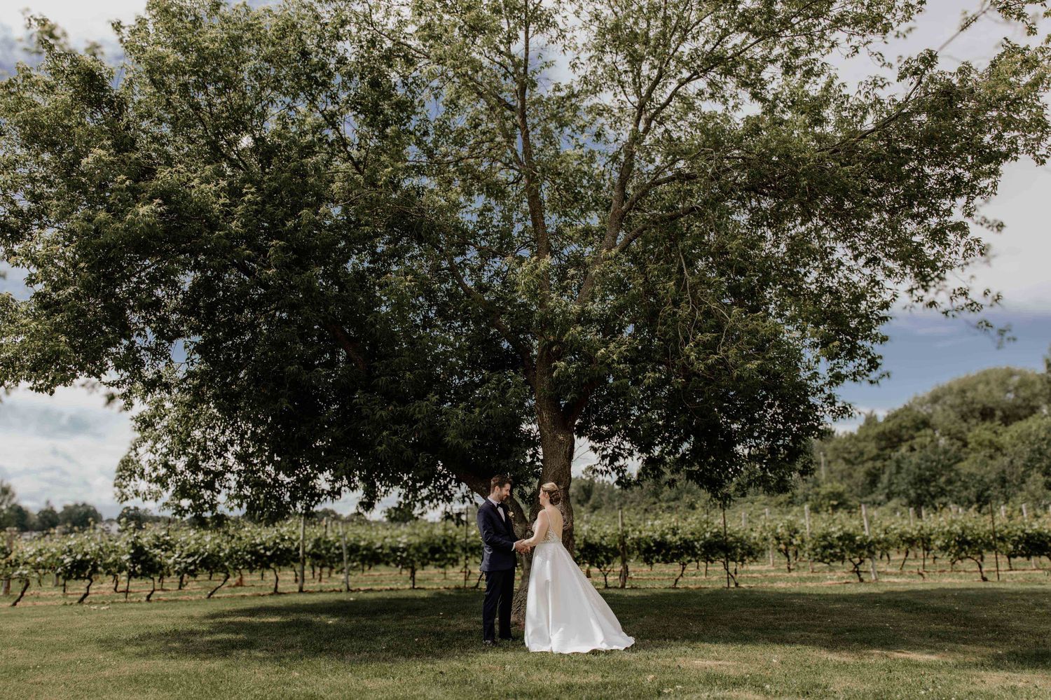 Wedding couple poses in sunny orchard with trees in background.