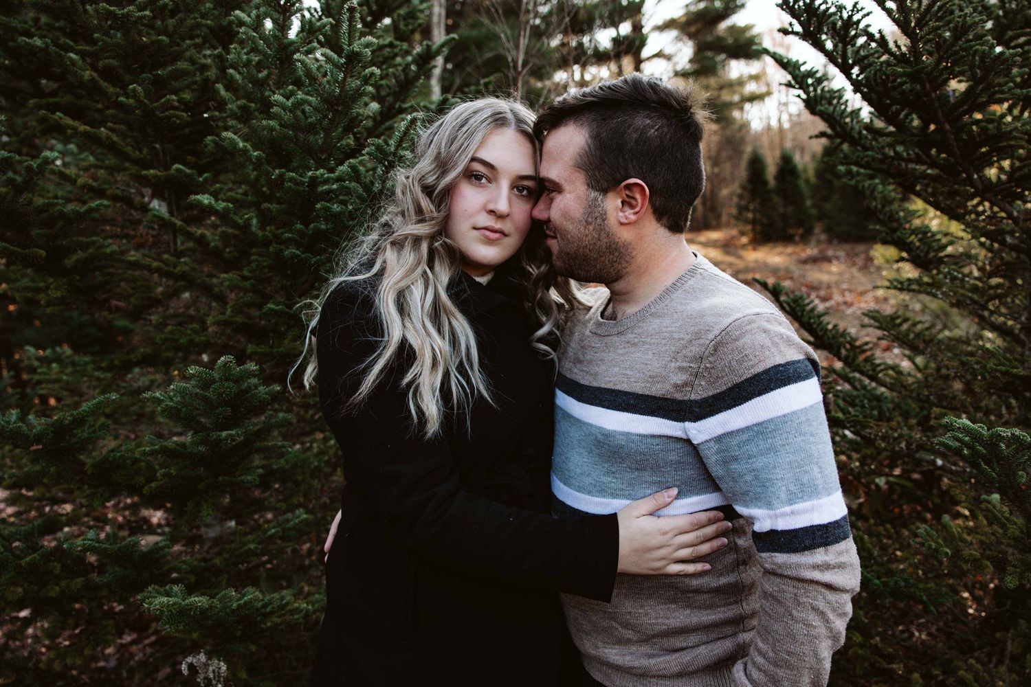 Romantic couple portrait session among evergreen trees in moody lighting.