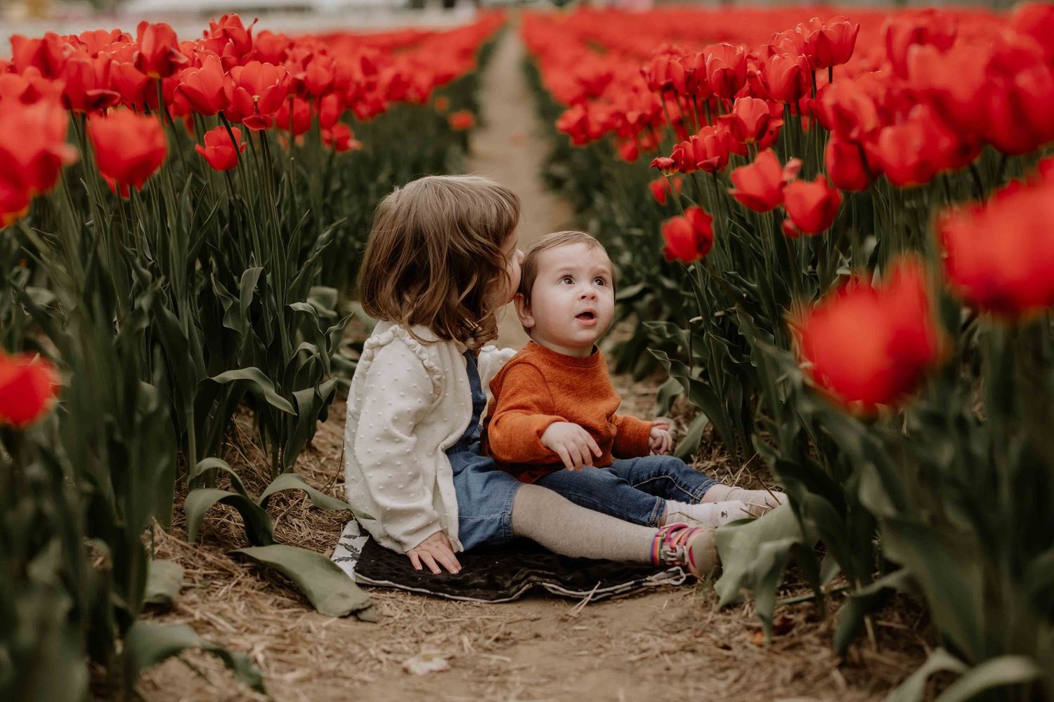 Children sitting among vibrant red tulips in a garden setting.