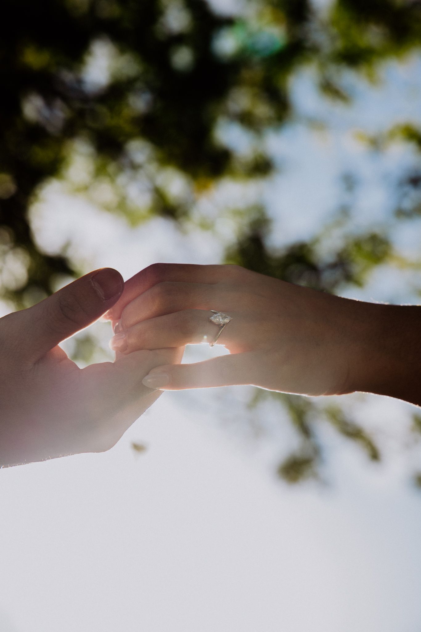 Shawna Inman Photography based out of Clovis, New Mexico