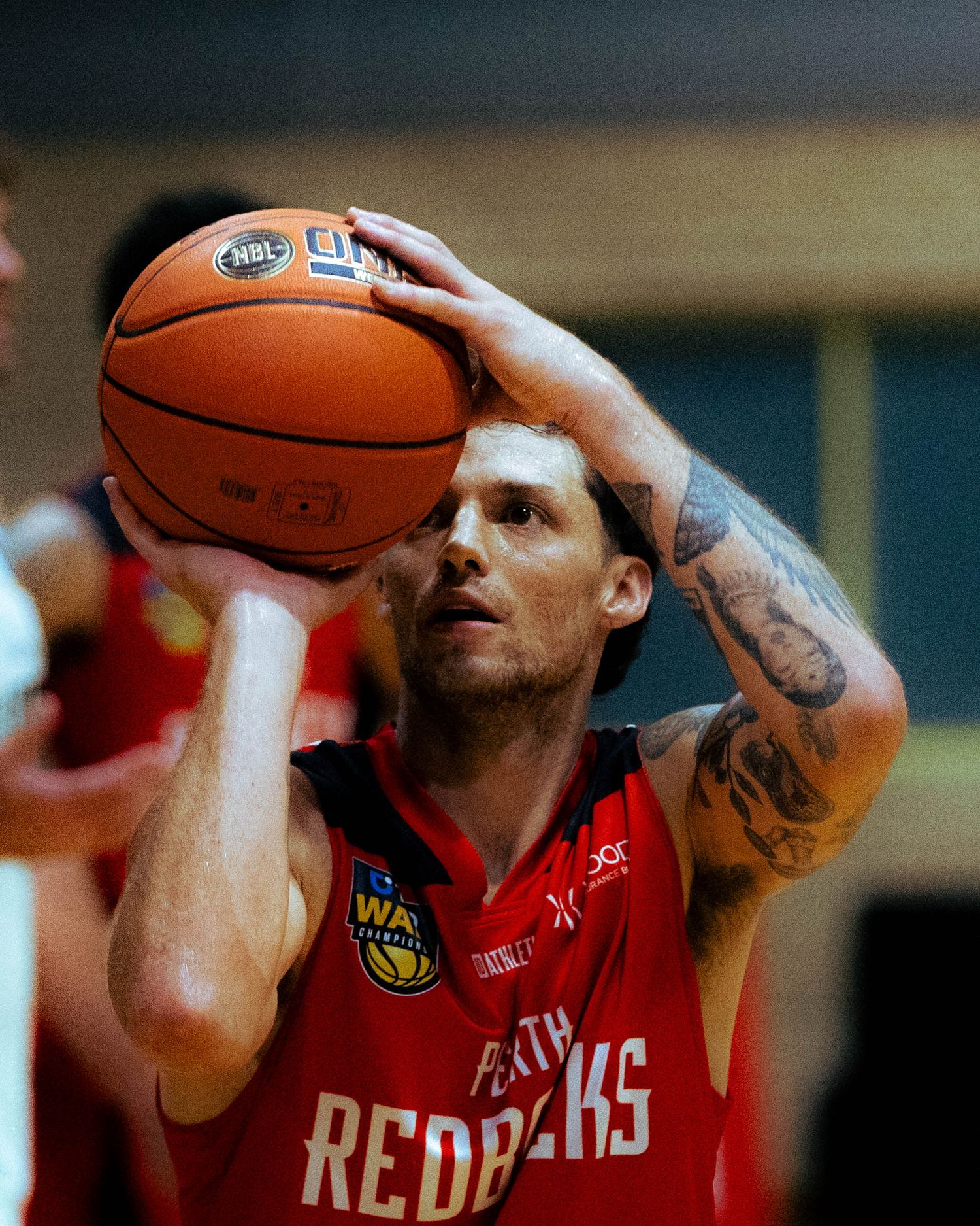 Redbacks NBL1