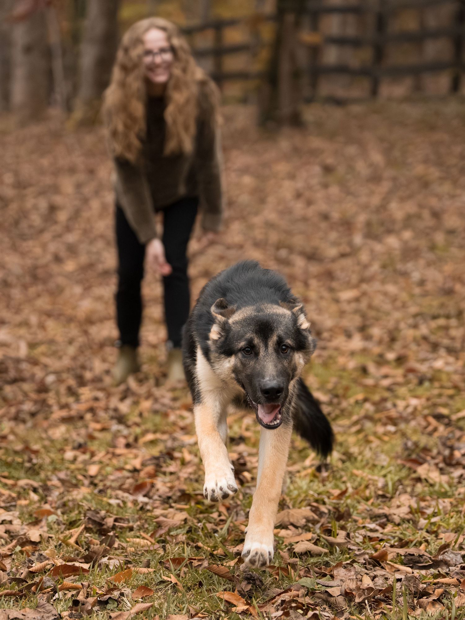 Husky German Shepherd mix puppy and owner