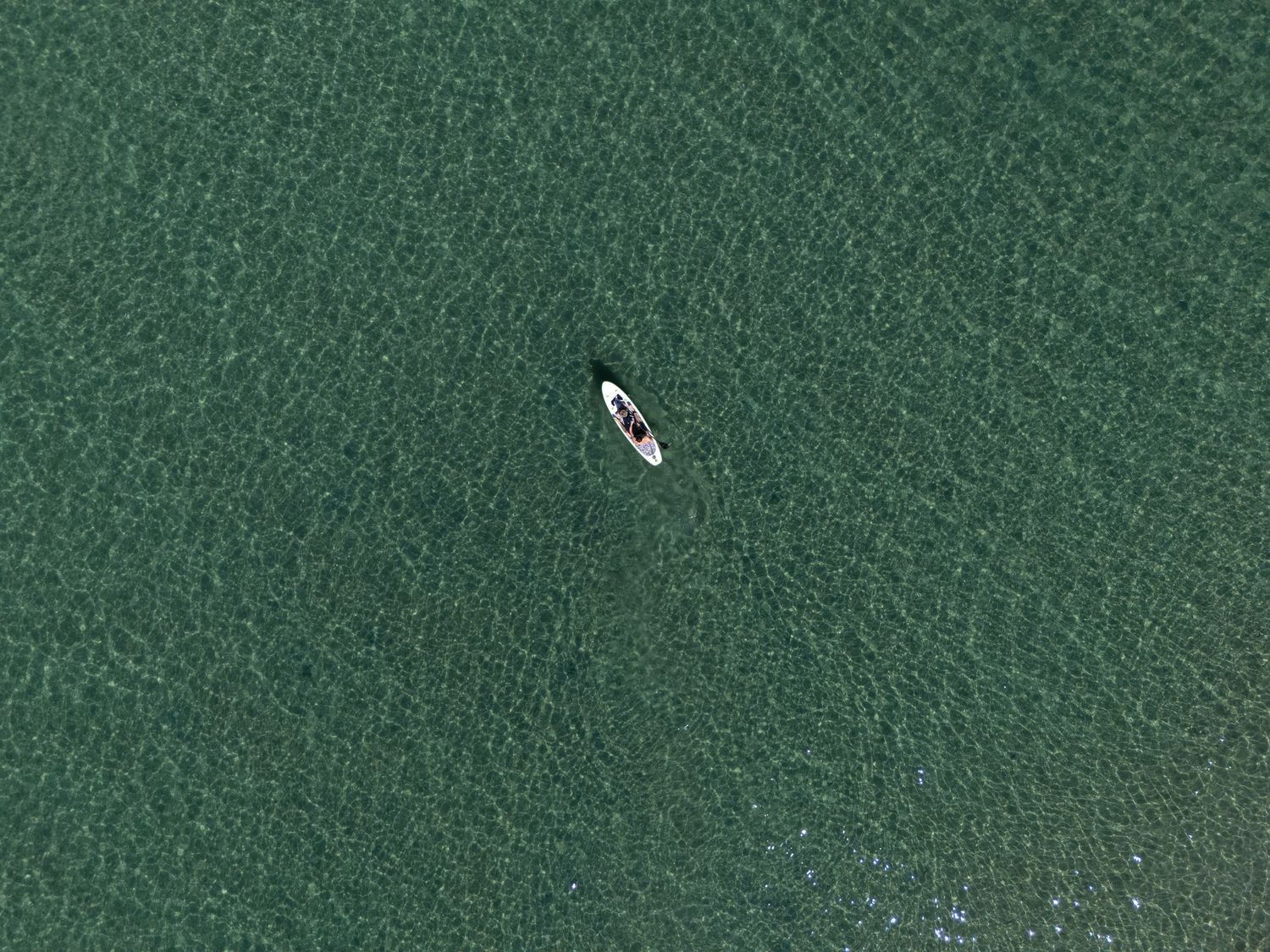 Drone image of father and son on a stand up paddle board or SUP.