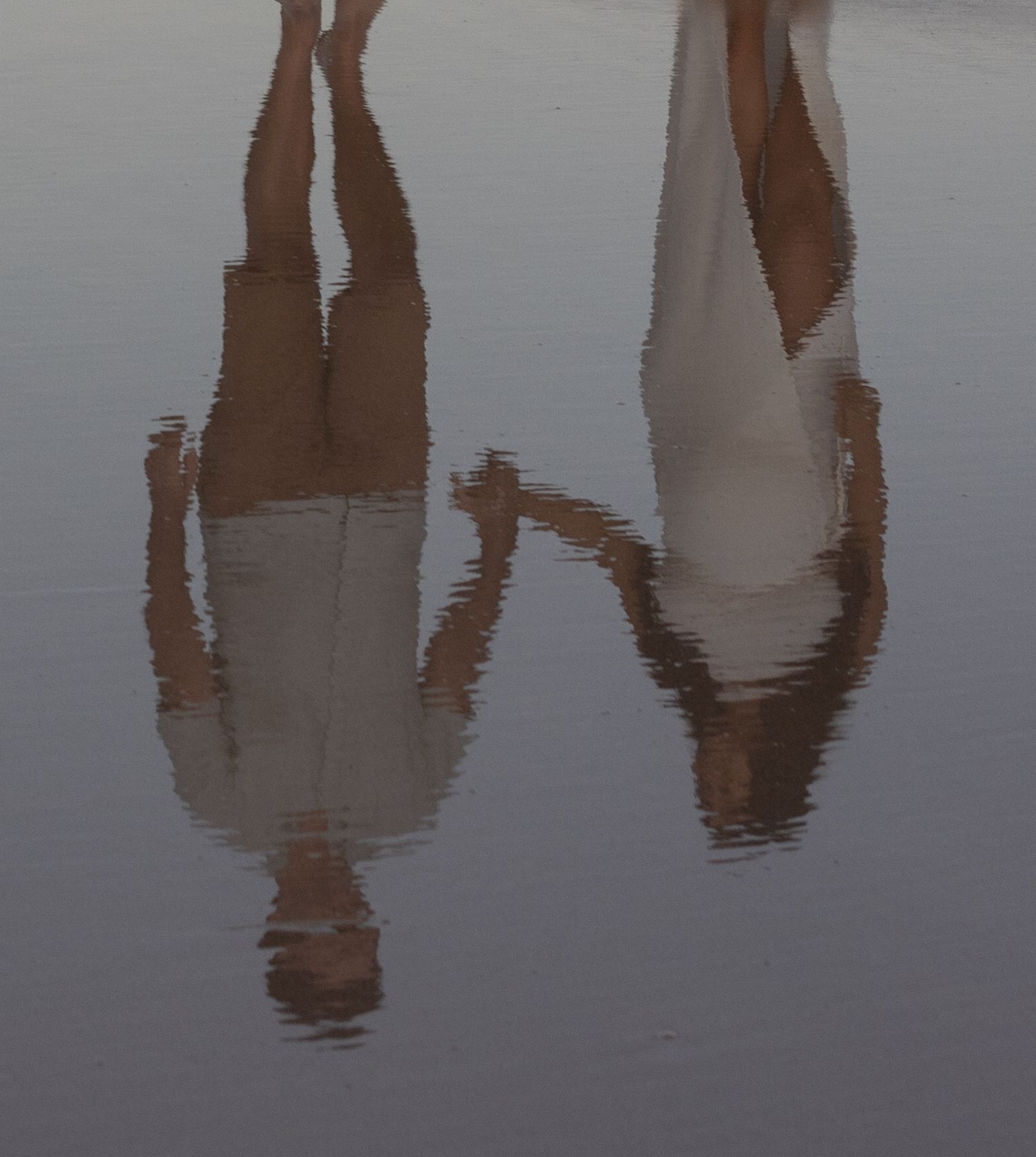 Reflection in water of expecting couple holding hands walking along the beach in shallow waters.