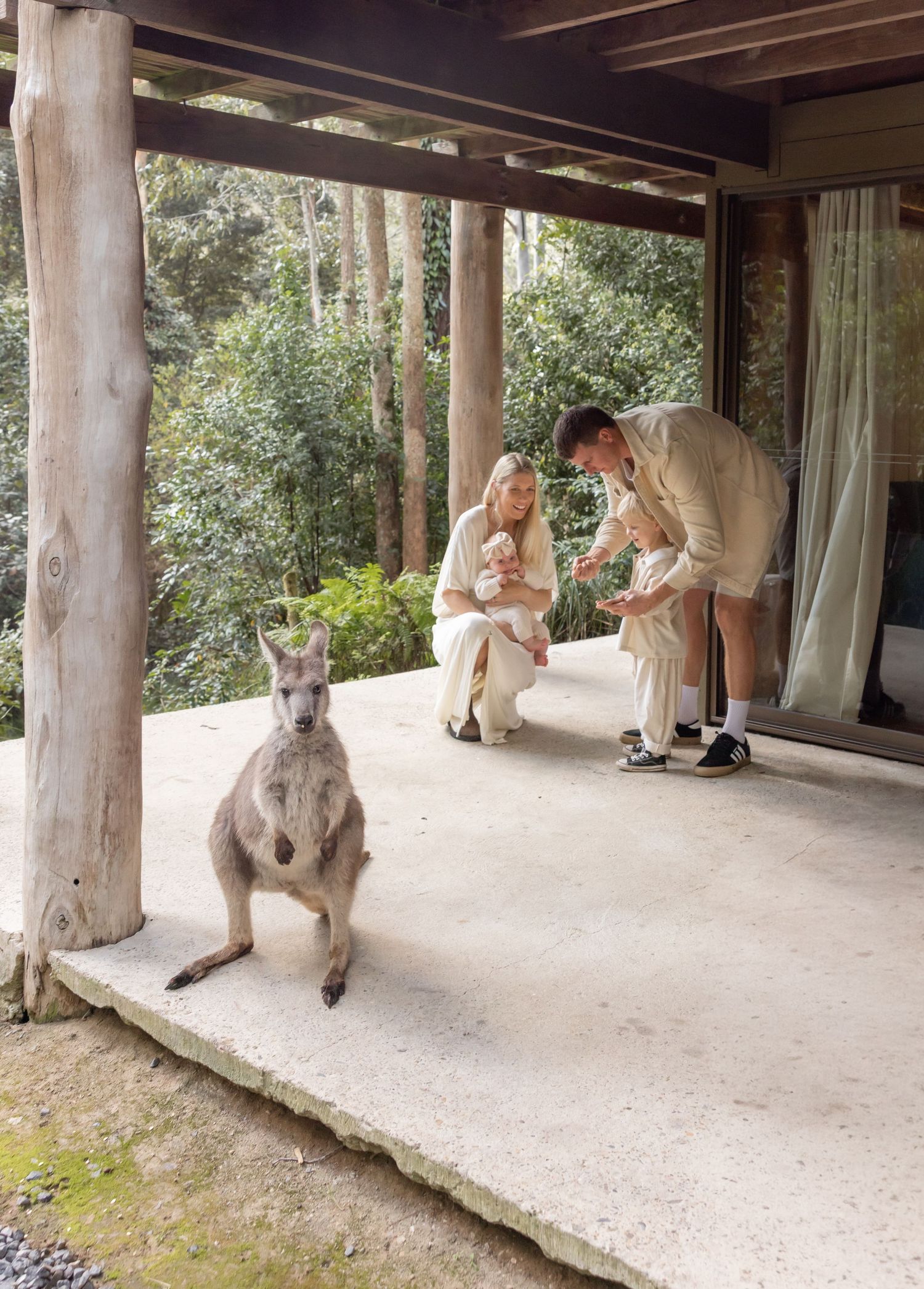 Family get some oats ready to feed a Kangaroo in Dungog, Australia. The kangaroo sits closely looking at the camera.