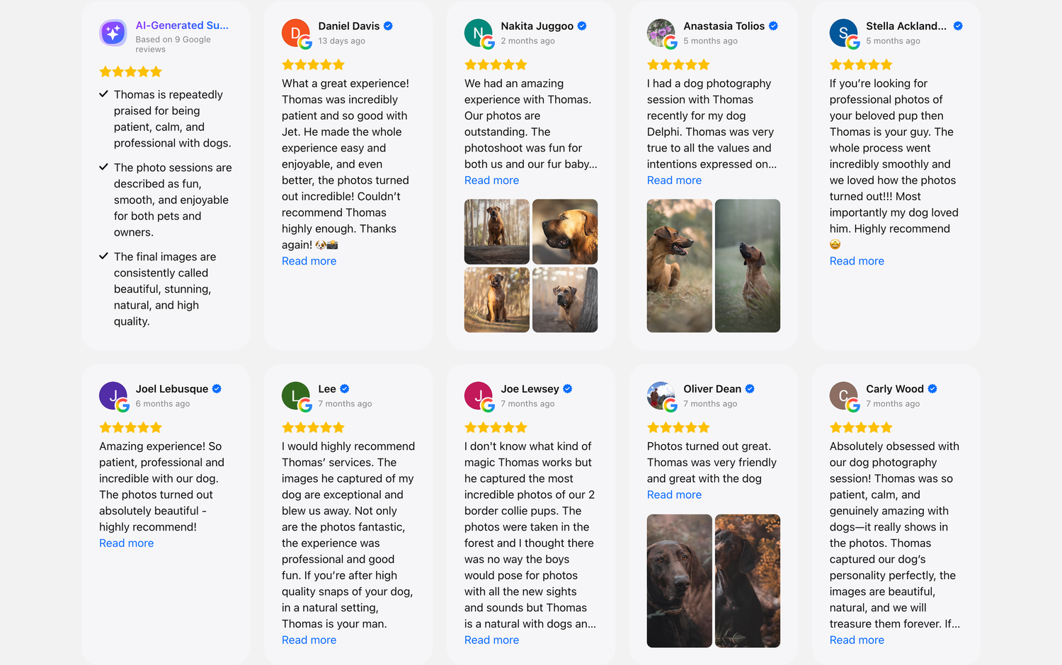 A collage of five-star customer reviews with profile photos and dog photography session images showcasing happy pets outdoors.