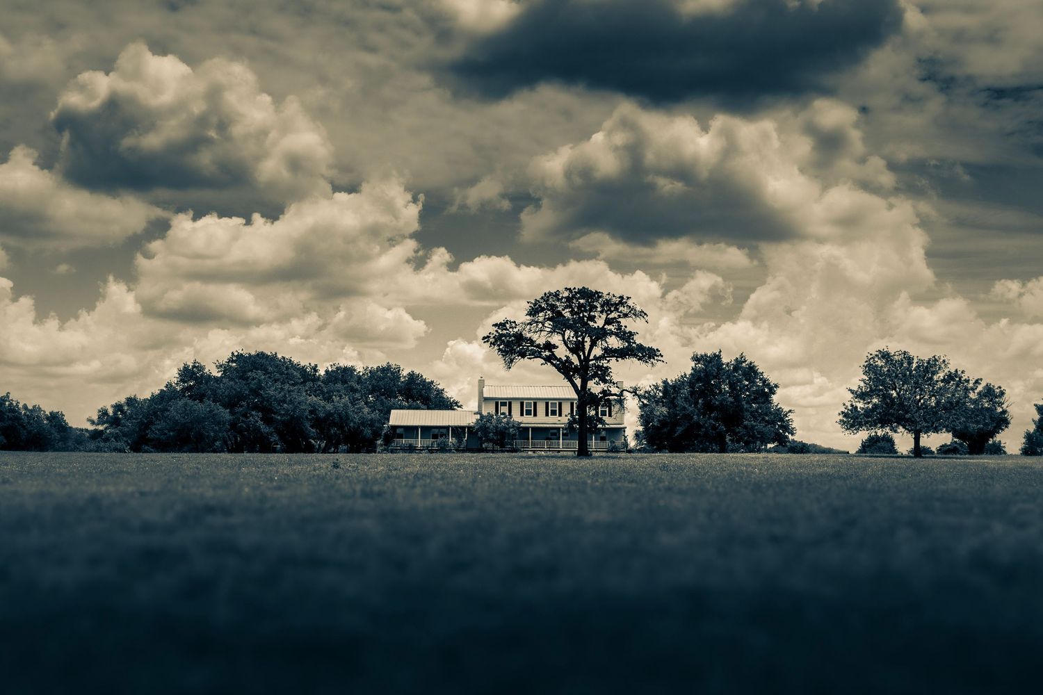 A dramatic black and white panoramic landscape with rolling hills, scattered trees and moody clouds overhead.