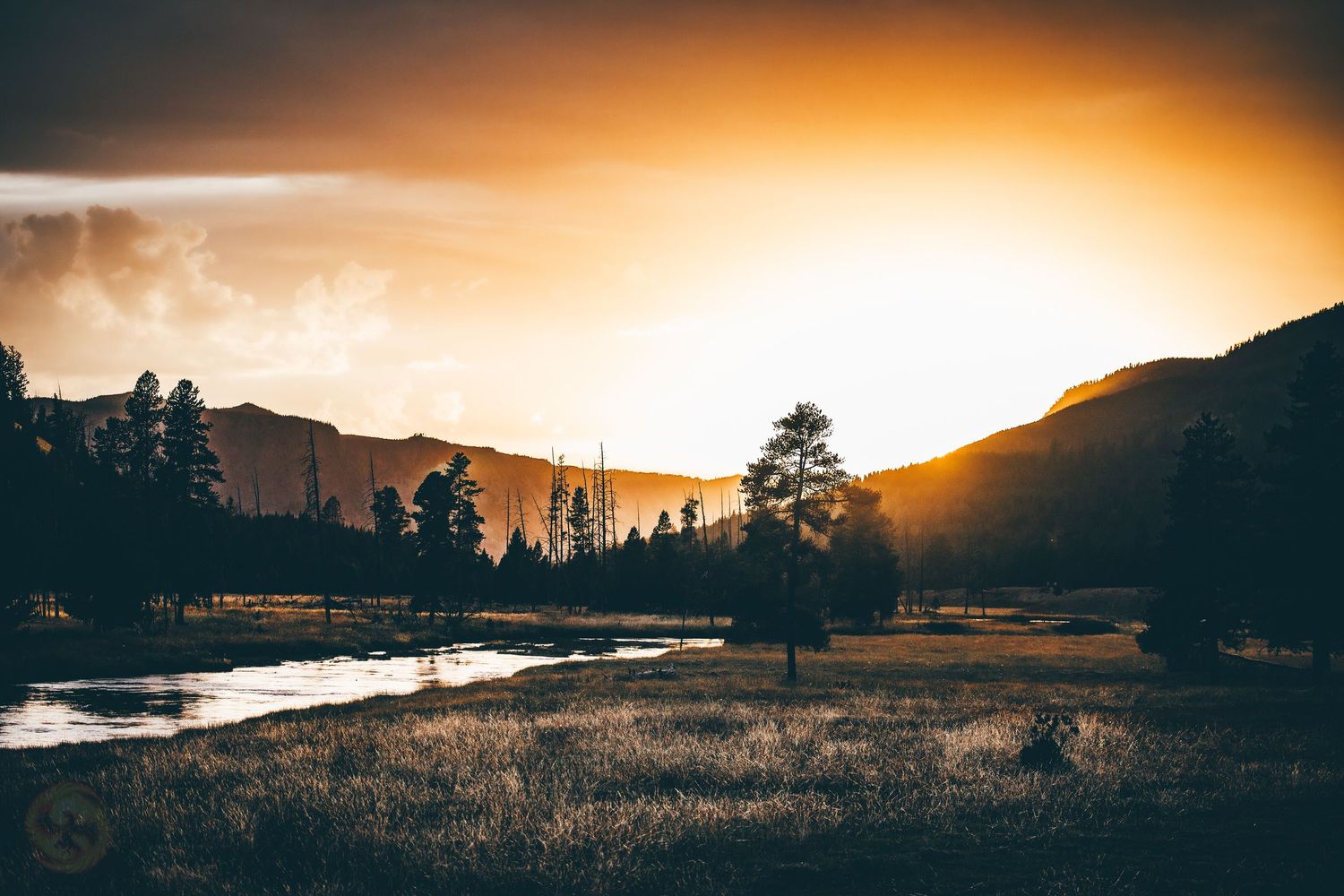 Panoramic sunset landscape with mountains and trees in golden hour light.