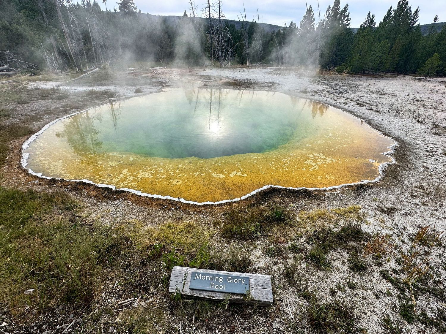 Steaming geothermal pools with vibrant yellow and turquoise colors in Yellowstone National Park.