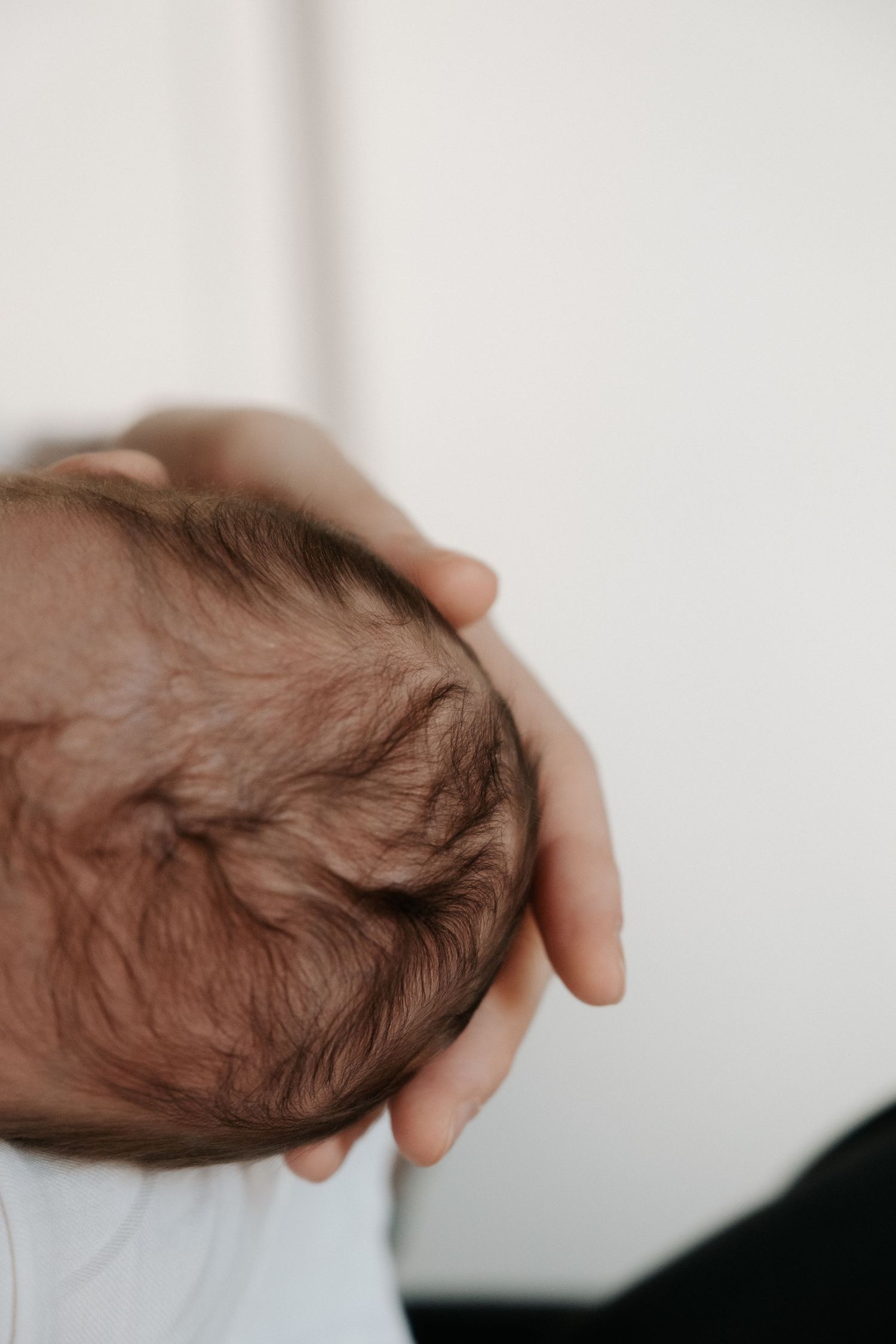 Close-up of parent's hand cradling newborn baby's head with dark hair against white background.